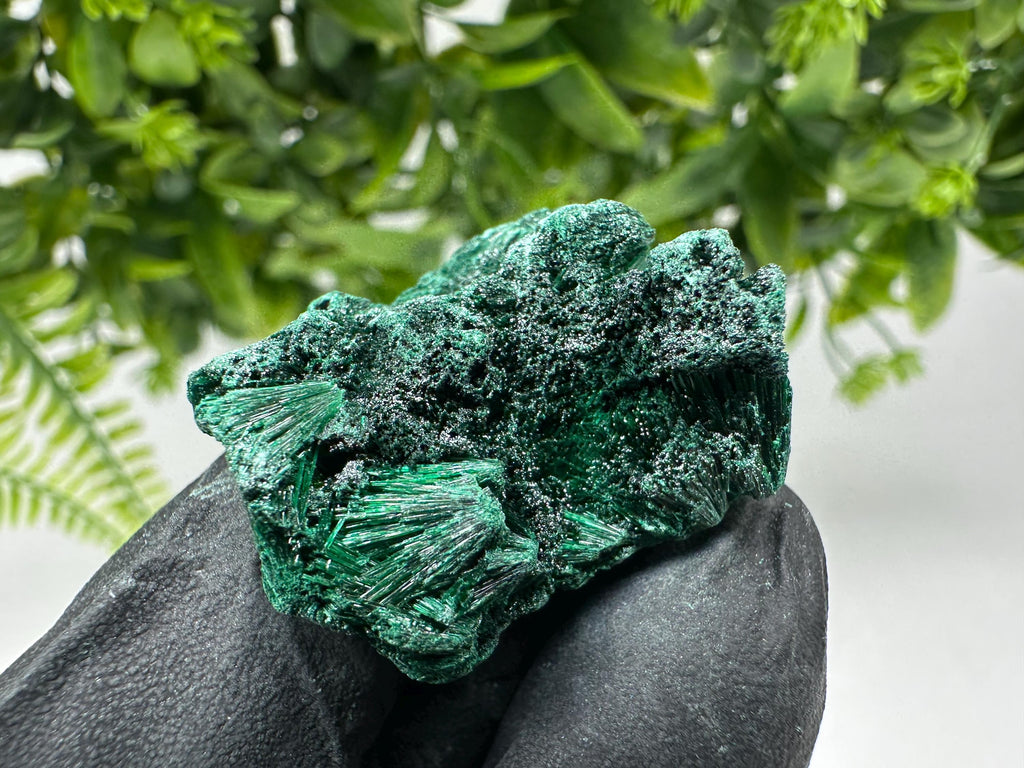 Malachite Crystal from Congo,Minerals,Crystals from Congo,Green Malachite, Malachite,Natural Malachite,Malachite Stone,Chakra, Specimens