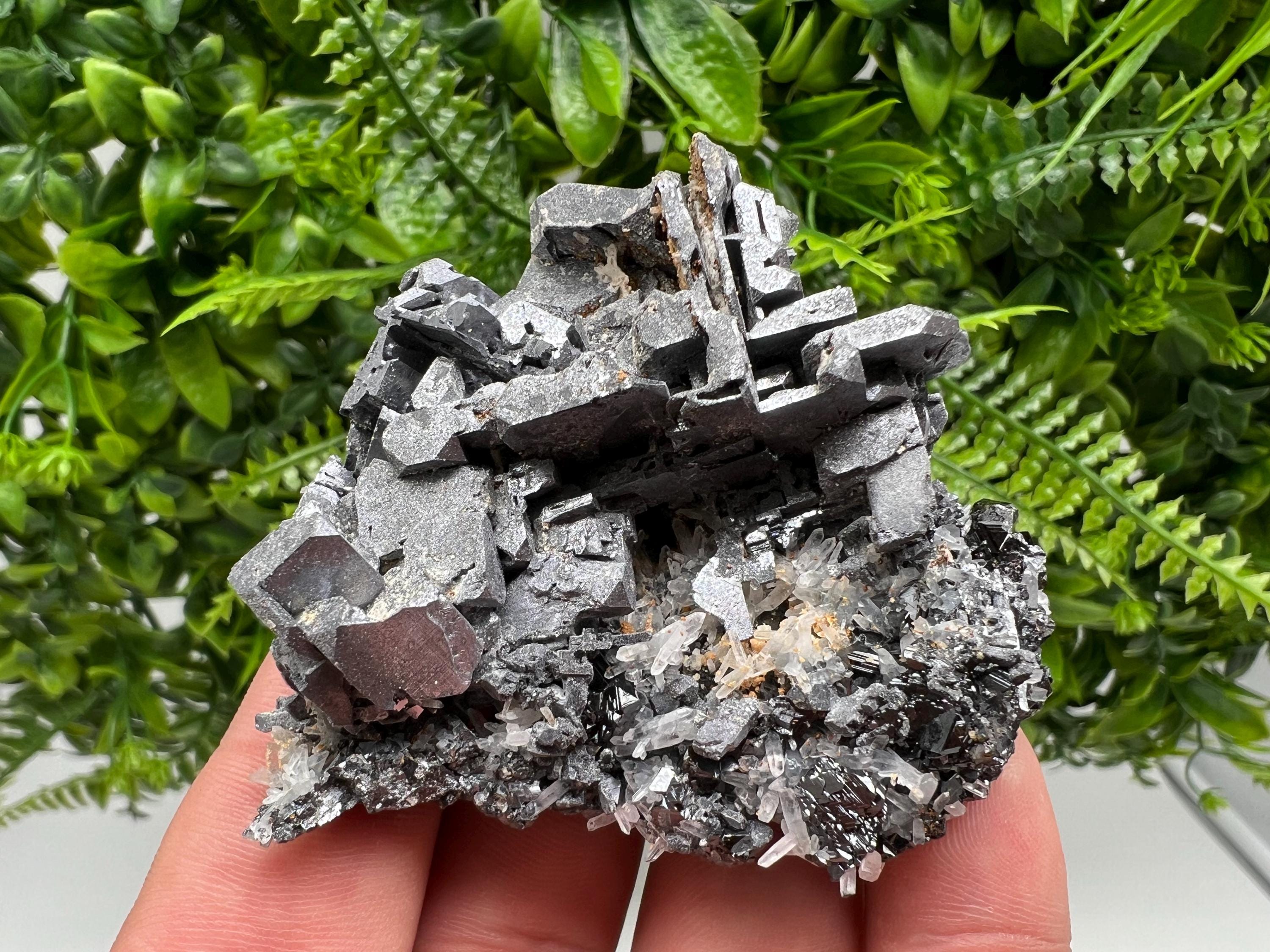 Galena Cluster with Siderite and Quartz: 9th September Mine, Bulgaria