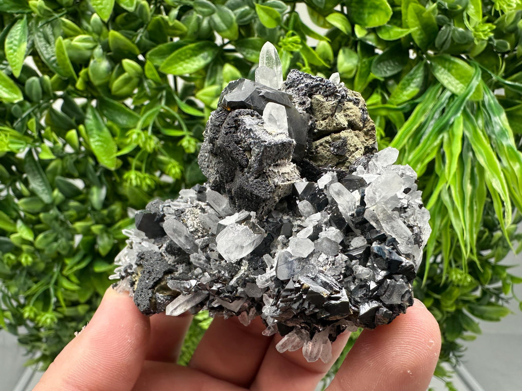 Wonderful Sphalerite Chalcopyrite on  Quartz whit Galena feom 9 th September mine,Bulgaria,natural,collection mineral specimen,gift