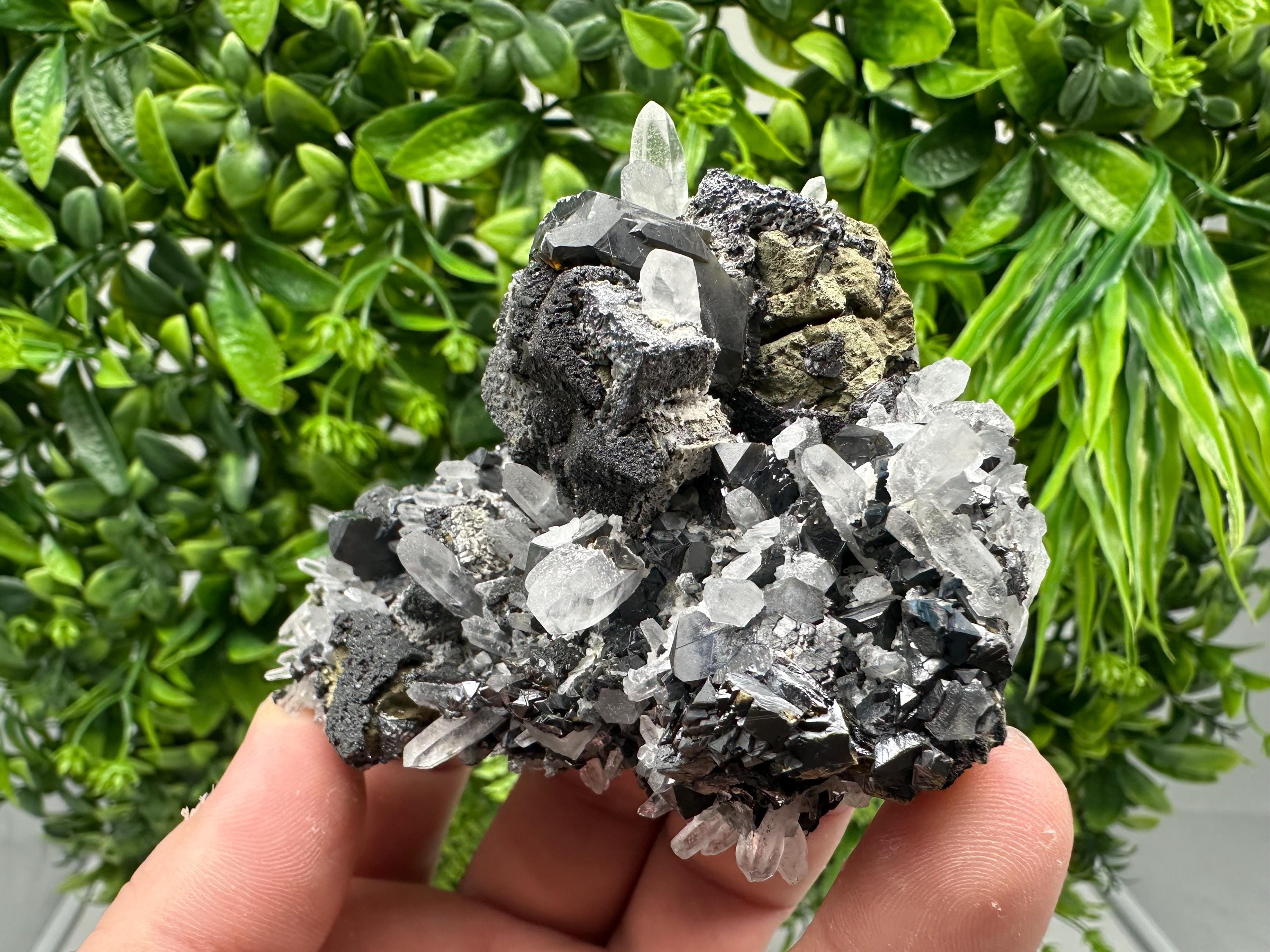Wonderful Sphalerite Chalcopyrite on  Quartz whit Galena feom 9 th September mine,Bulgaria,natural,collection mineral specimen,gift