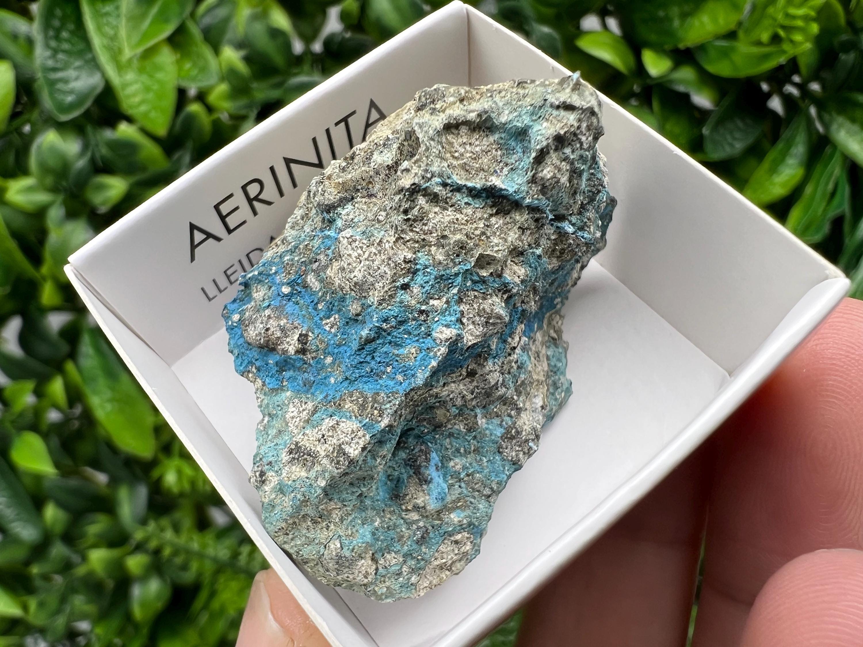 Rare Raw Aerinite Mineral Specimen: Lleida, Spain (4.5/3.5 CM)