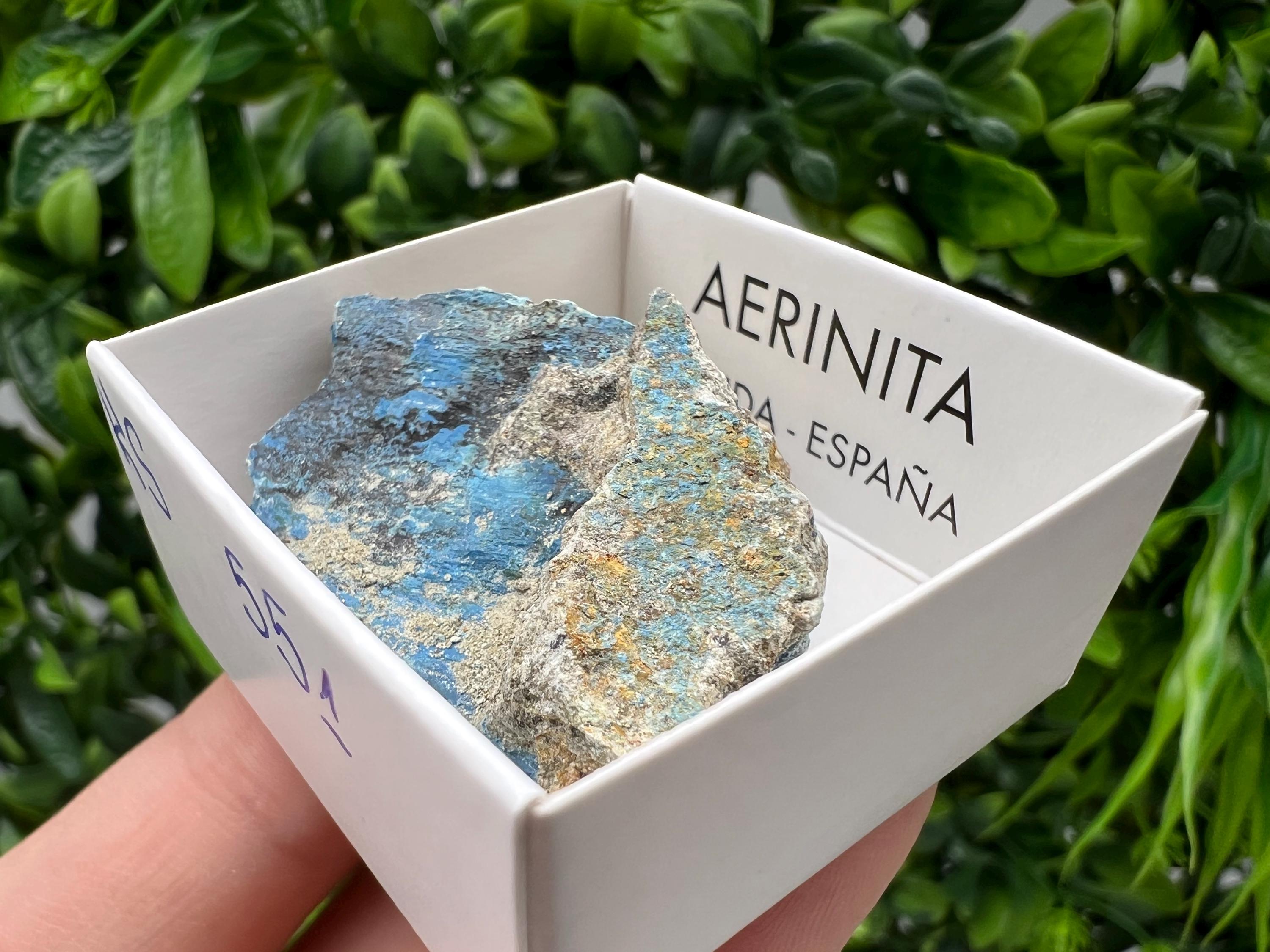 Rare Raw Aerinite Mineral Specimen: Collection Crystal from Lleida, Spain (4/3.5 CM)
