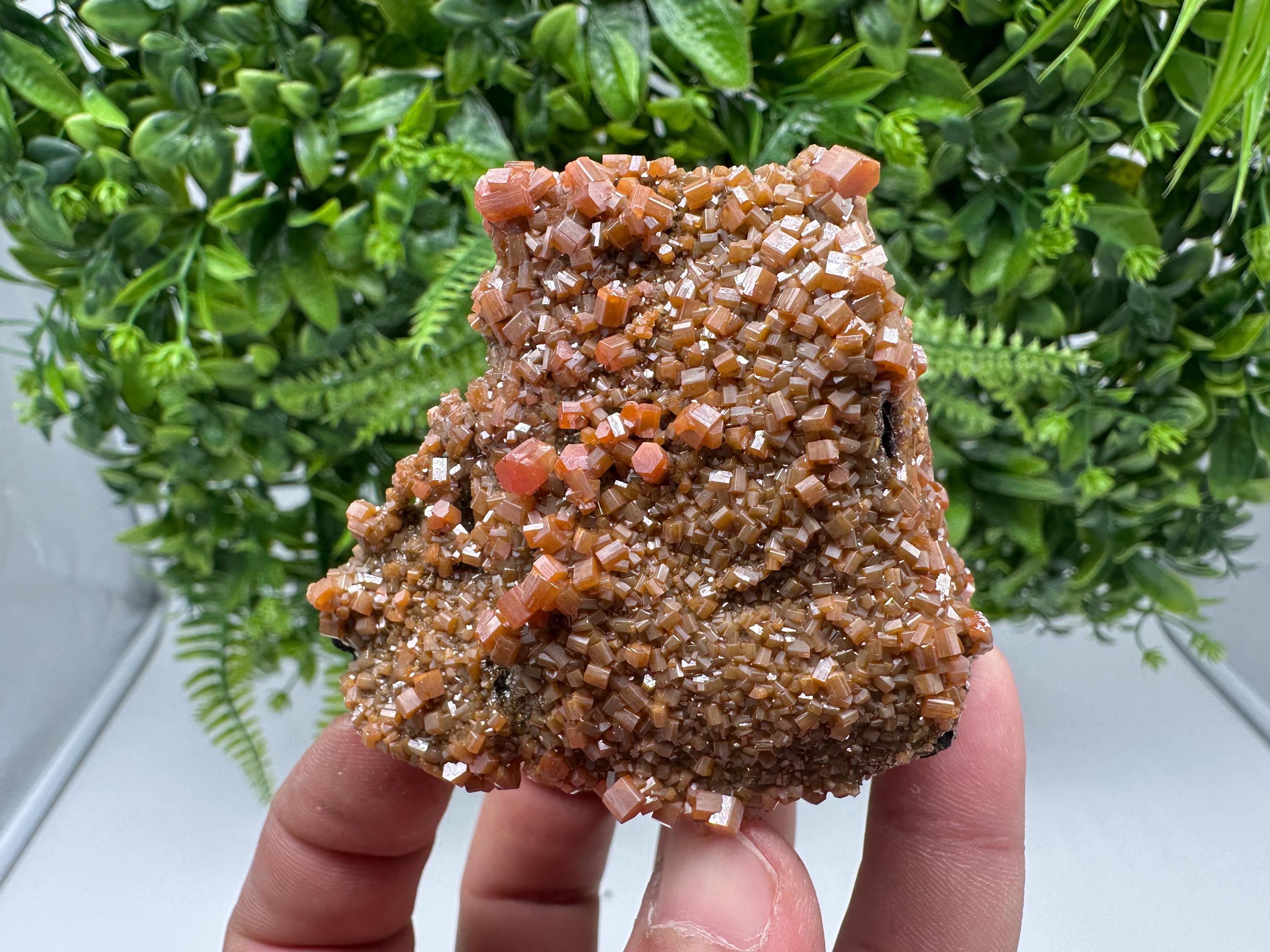 VERY Rare red Vanadinite on Barite whit Goethite from Marocco,crystal minerals Speciment cluster Vanadinite crystal Vanadinite Geology Vanad