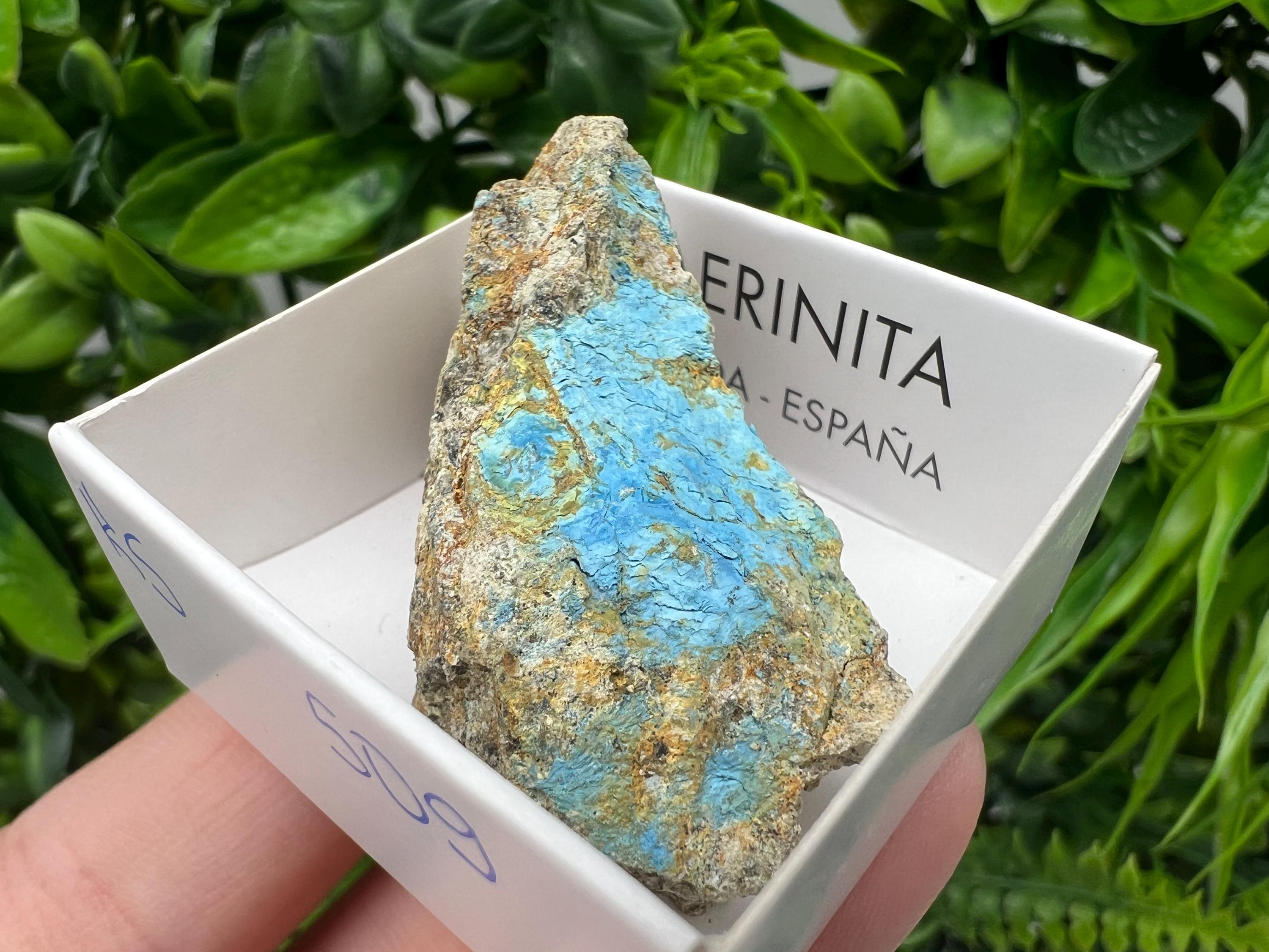 Rare Raw Aerinite Mineral Specimen: Lleida, Spain Crystal Collection