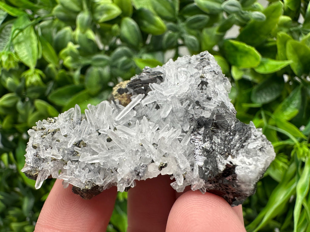 Wonderful Sphalerite Chalcopyrite on  Quartz whit Galena feom 9 th September mine,Bulgaria,natural,collection mineral specimen,gift