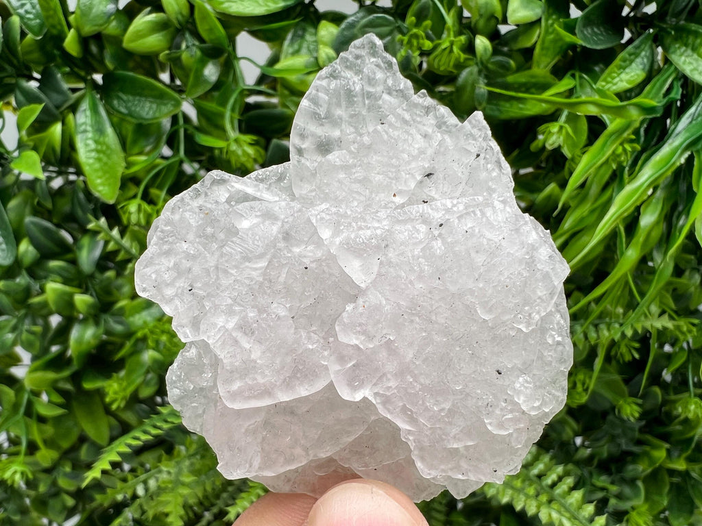Mangano Calcite with Galena, Borieva Mine Crystal, Bulgaria