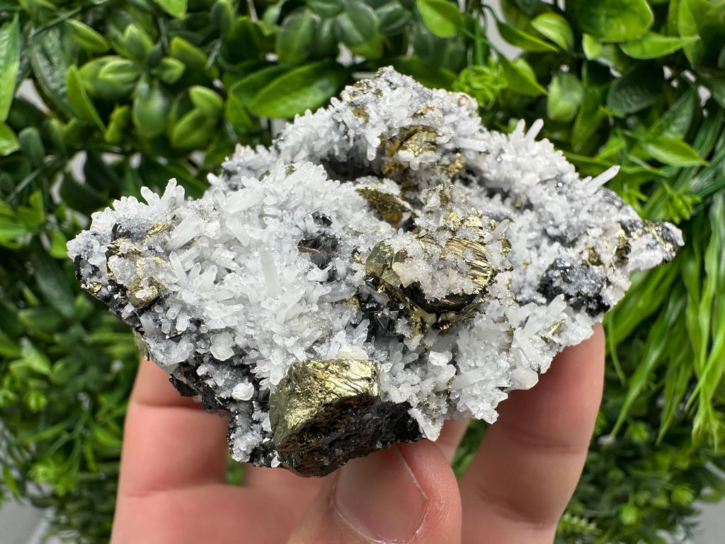 Chalcopyrite on Quartz Crystal: Borieva Mine, Bulgaria