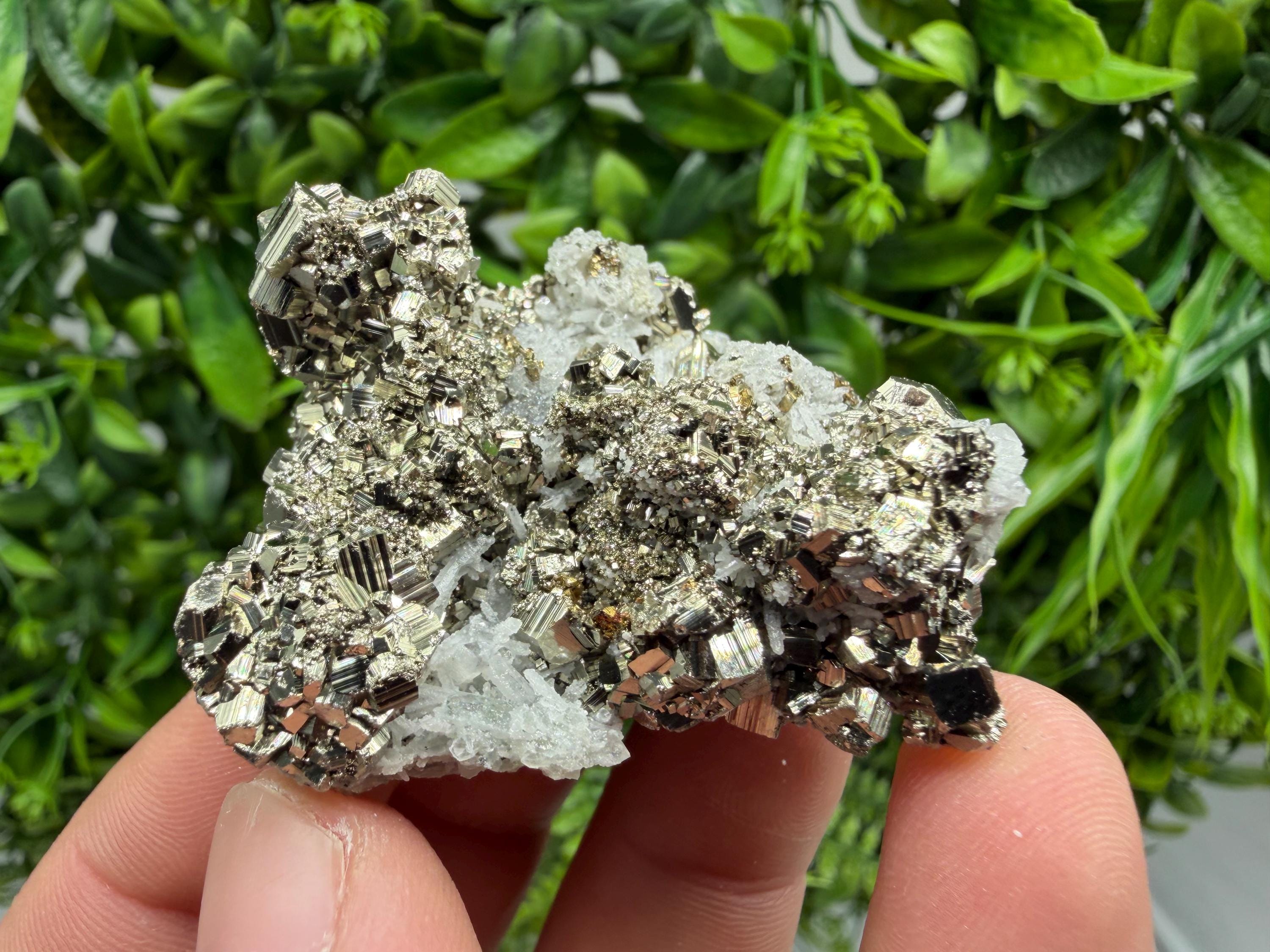 Pyrite Sphalerite Quartz  Mineral Specimen, Krushev dol Mine
