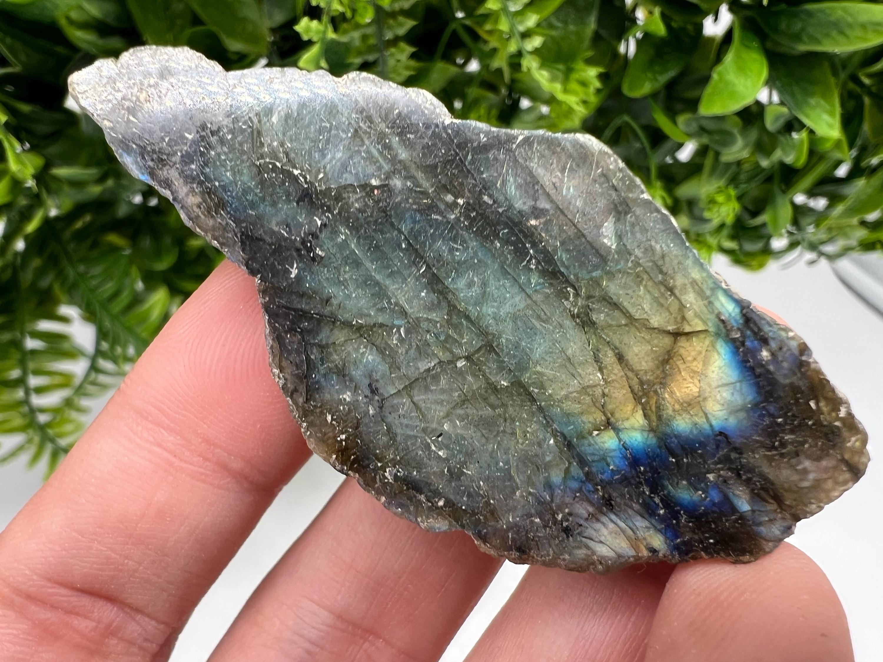 Polished Labradorite Slab: Multifire Crystal Decor - 7x3.5x1.5cm