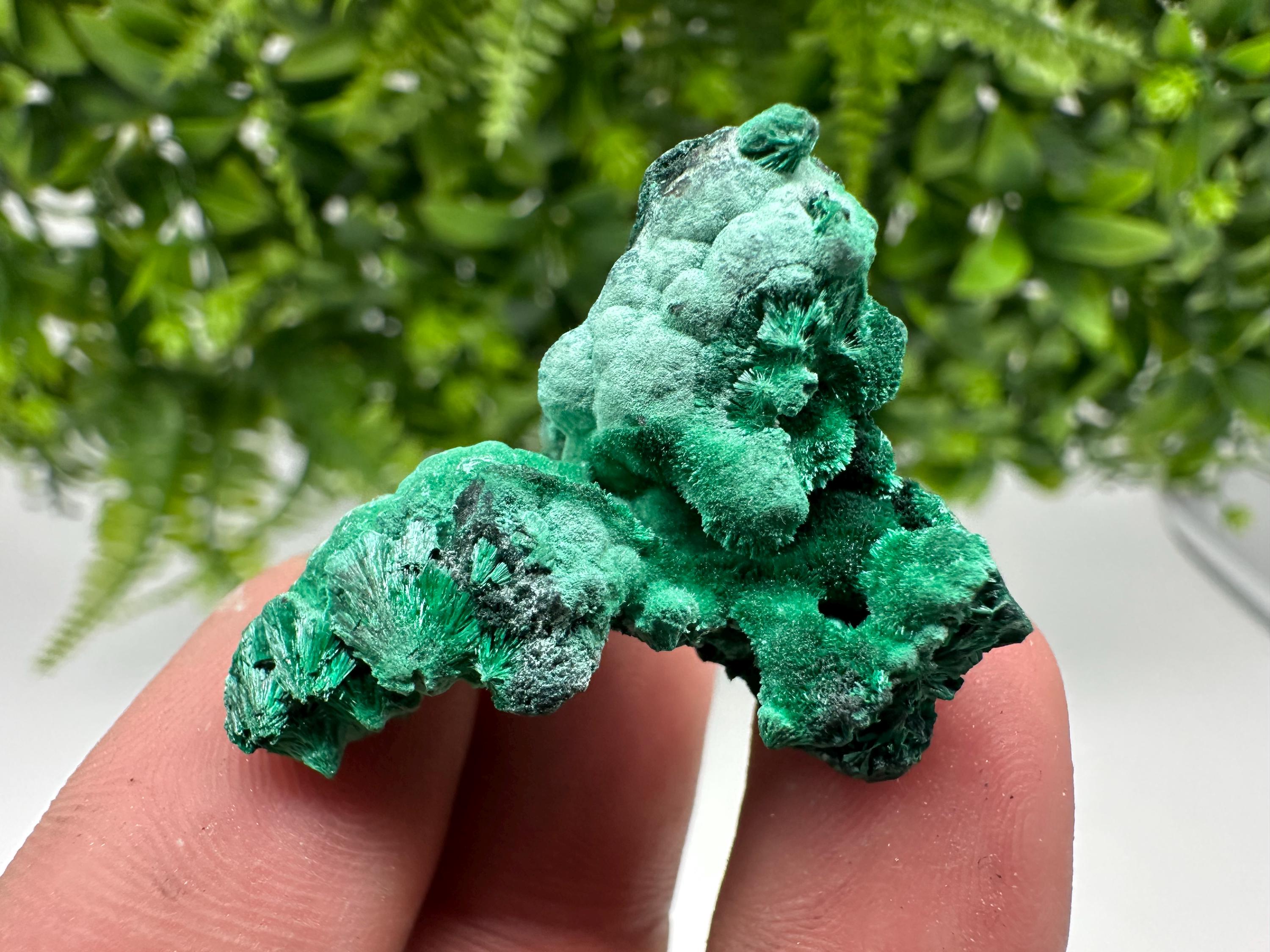 Malachite Crystal from Congo,Minerals,Crystals from Congo,Green Malachite, Malachite,Natural Malachite,Malachite Stone,Chakra, Specimens