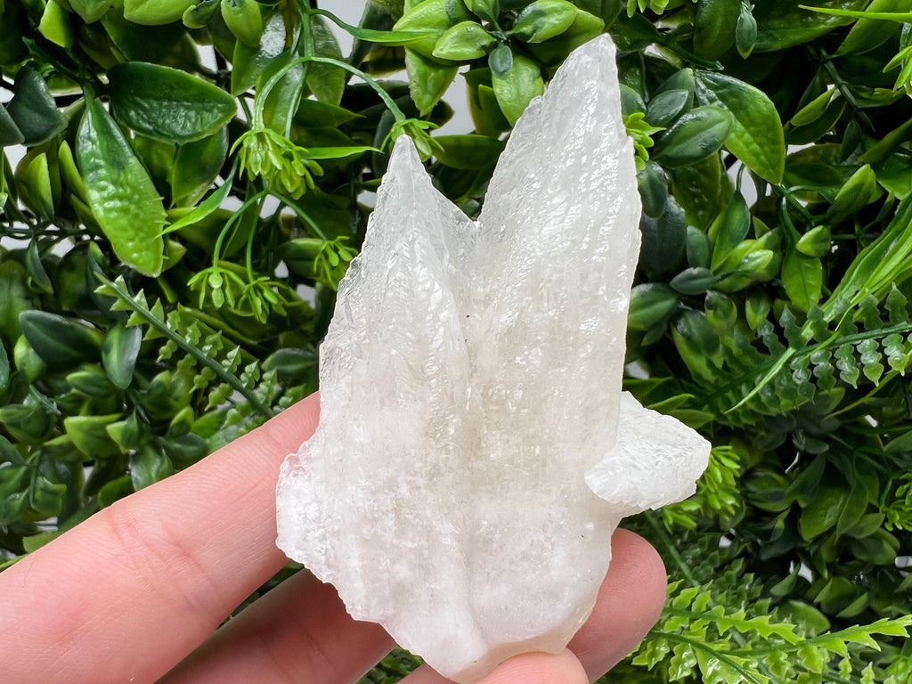 Calcite on Green Quartz: Djurcovo Mine, Bulgaria - Healing Crystal