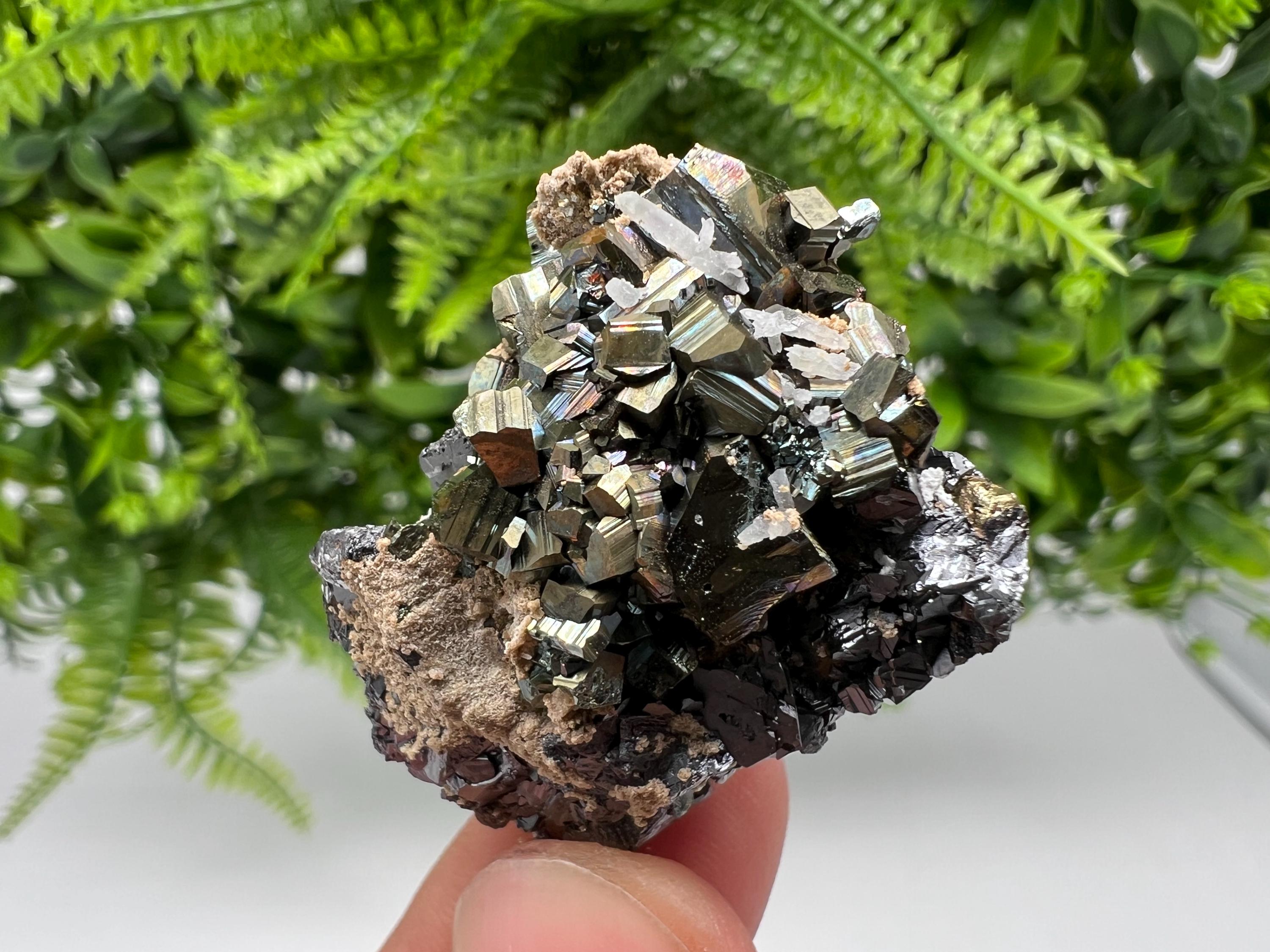 Rainbow Pyrite Siderite Mineral Specimen: Madan Bulgaria Collectible
