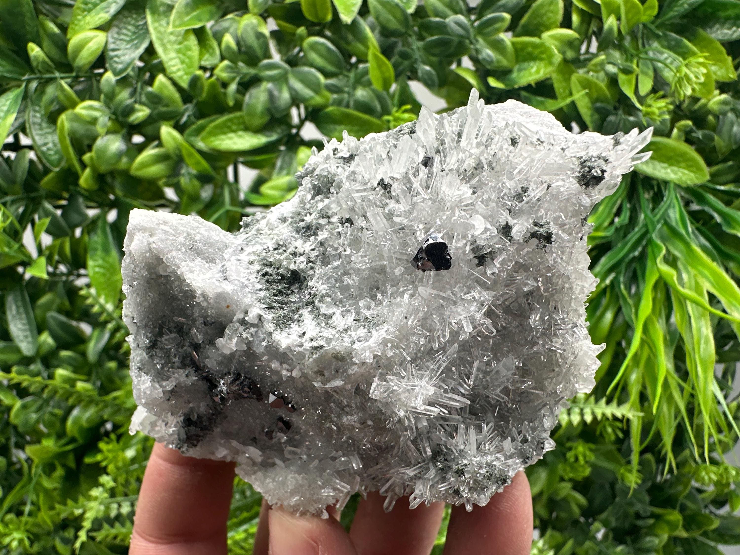Sphalerite on Green Quartz, Borieva Mine Mineral Specimen