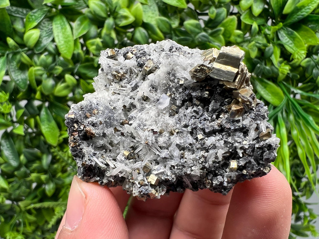 Rainbow Pyrite on Quartz, Oxide Mineral Specimen, Bulgaria