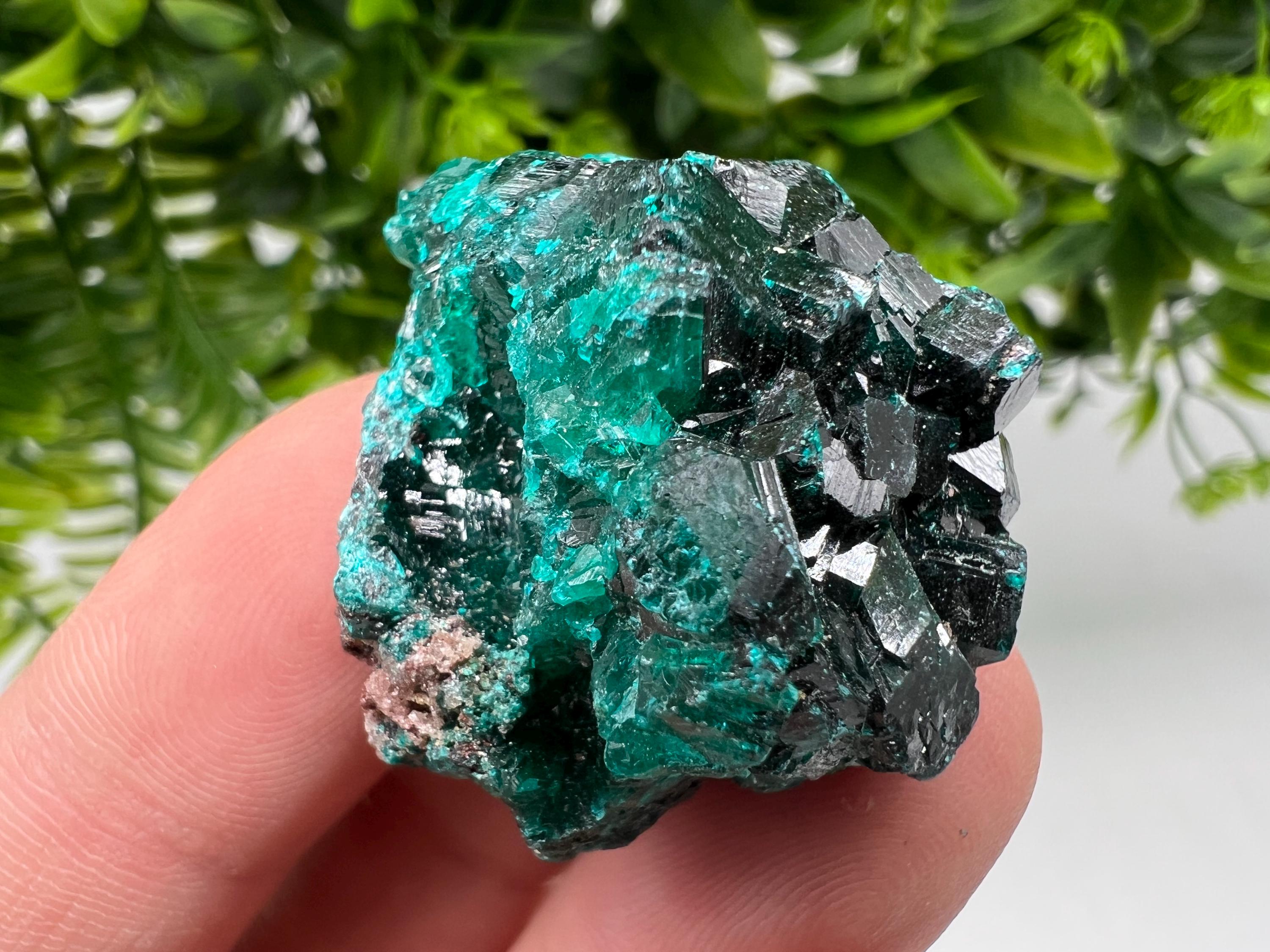 Stunning Green Dioptase from Sanda Hills,Mindouli,Pool Department,Mindouli District,Congo,green Dioptase,Dioptas Crystal,Dioptase collecting