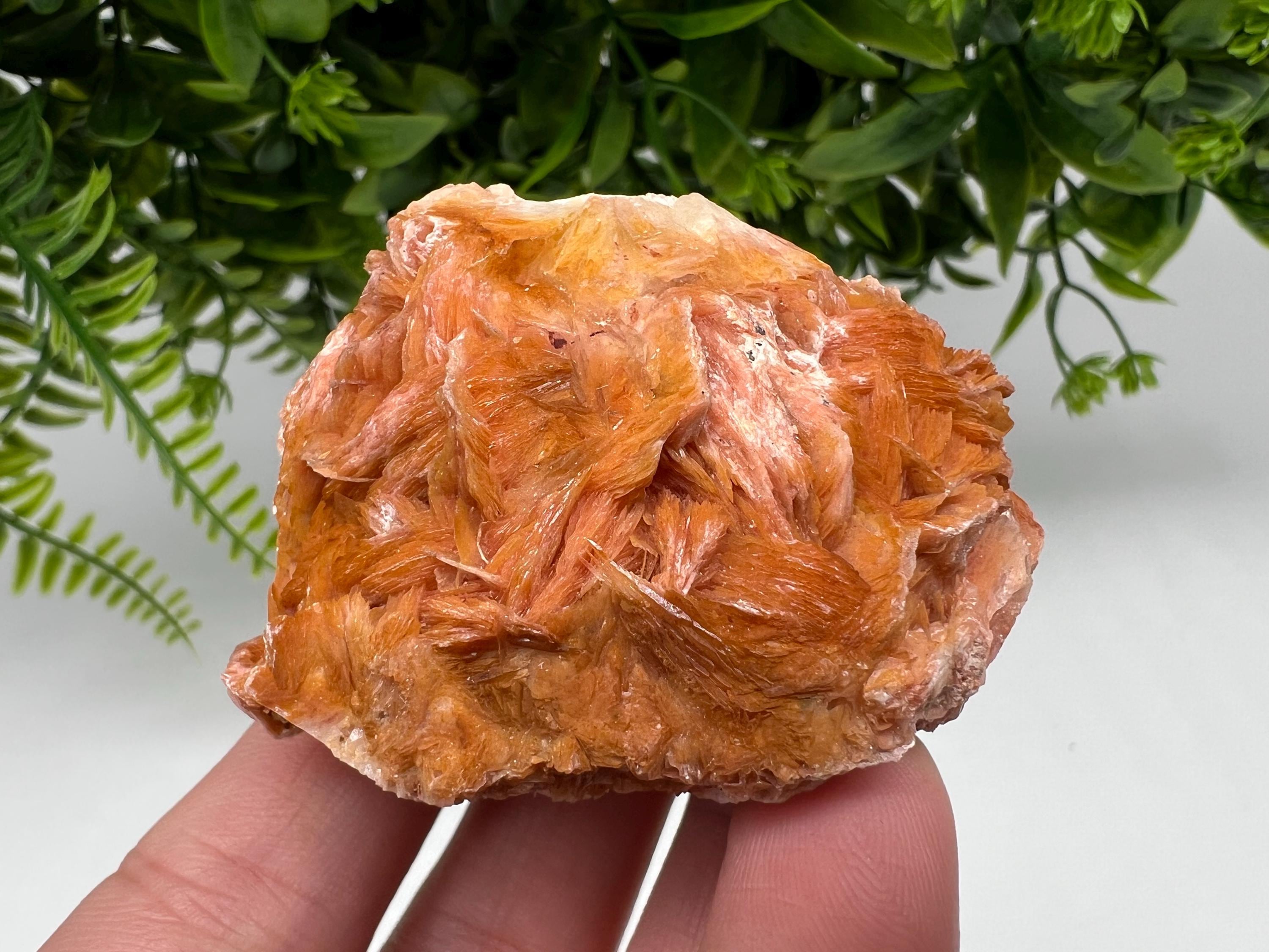 Wonderful Baryte with Cerussite on Galena from Morocco,Crystal, Mineral,Specimen,Cluster,Crystals,Barite Crystal,Cerussite Crystal,Specimen