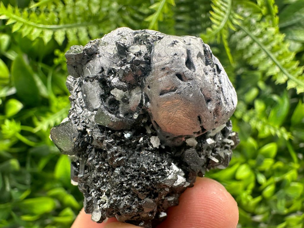 Mirror Galena, Calcite, Sphalerite on Quartz with Chlorite, Borieva Bulgaria
