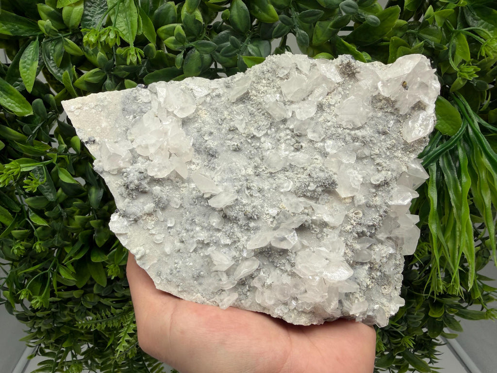 Calcite Quartz on Chlorite Matrix Mineral Specimen, Borieva Mine Bulgaria, Rare Crystal Home Decor