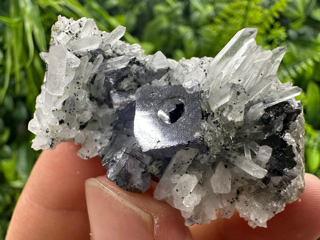 Galena on Quartz Mineral Specimen, Bulgaria Origin