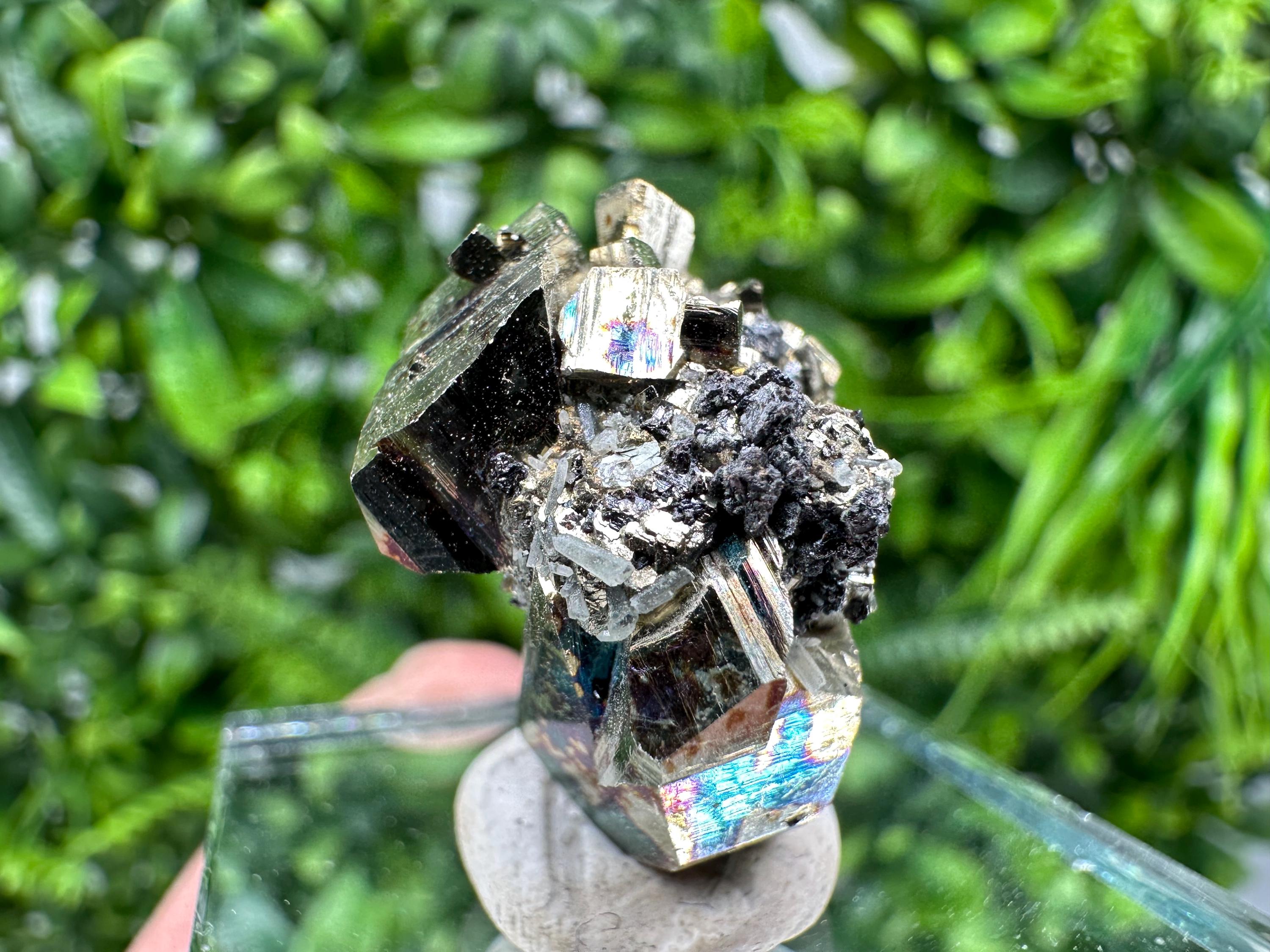 Rare Rainbow Pyrite Cluster: Borieva Mine, Bulgaria