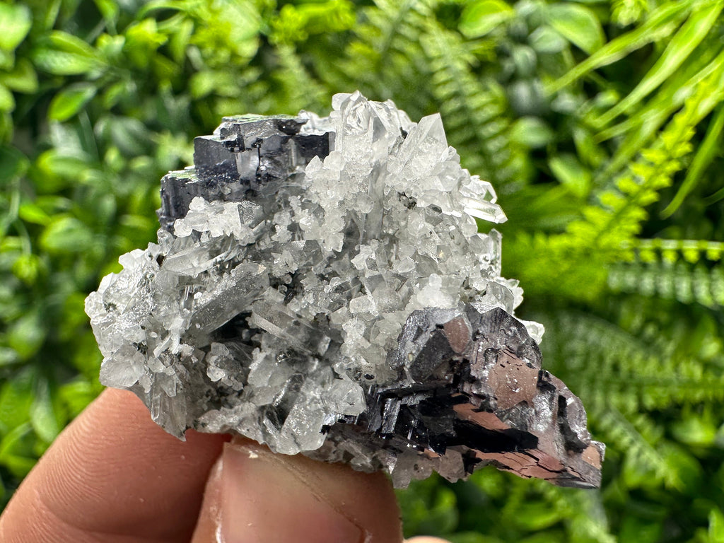 Galena on Quartz with Calcite: Natural Mineral Souvenir