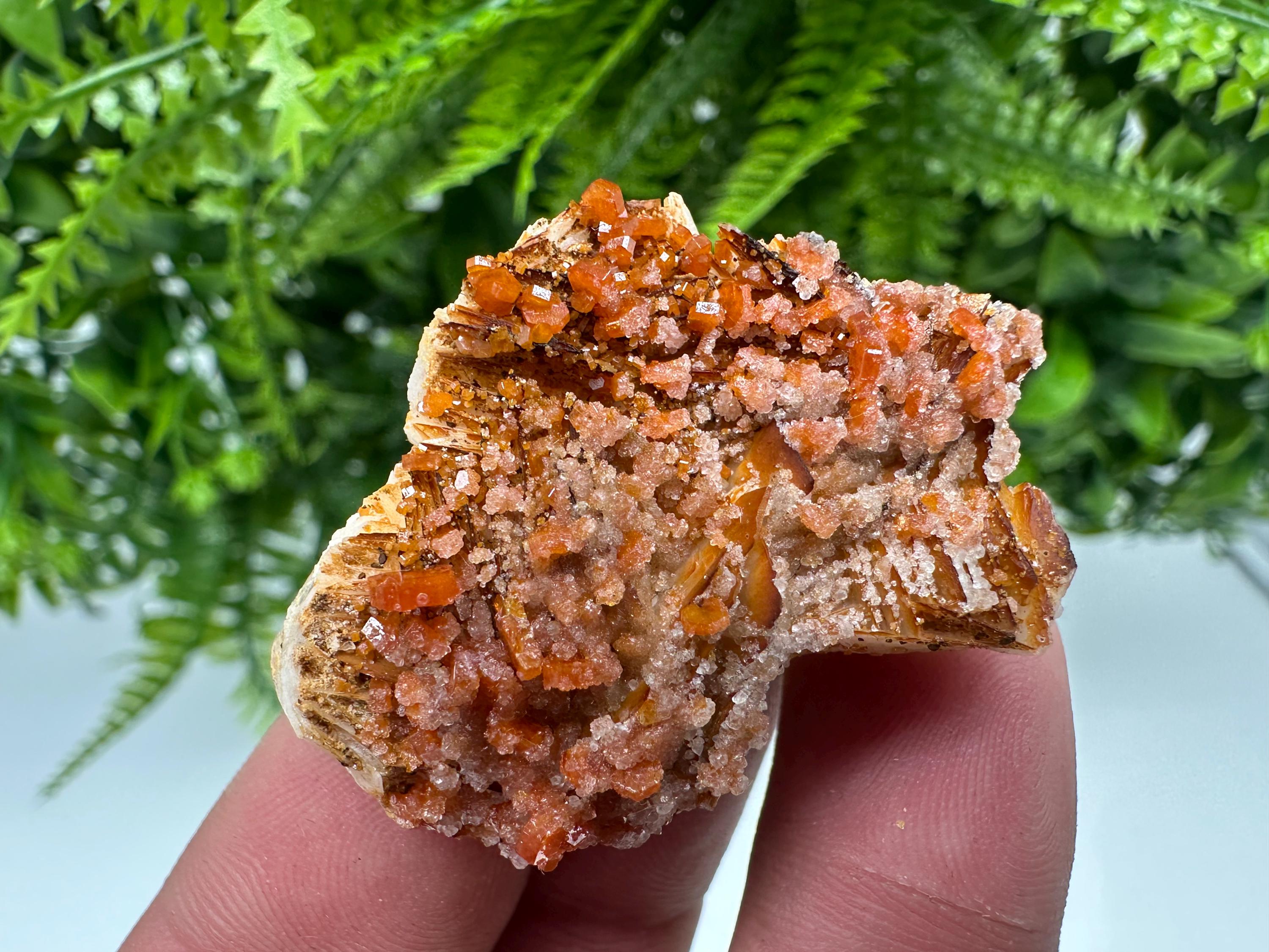 Red Vanadinite on Barite, Morocco Mineral Specimen Cluster