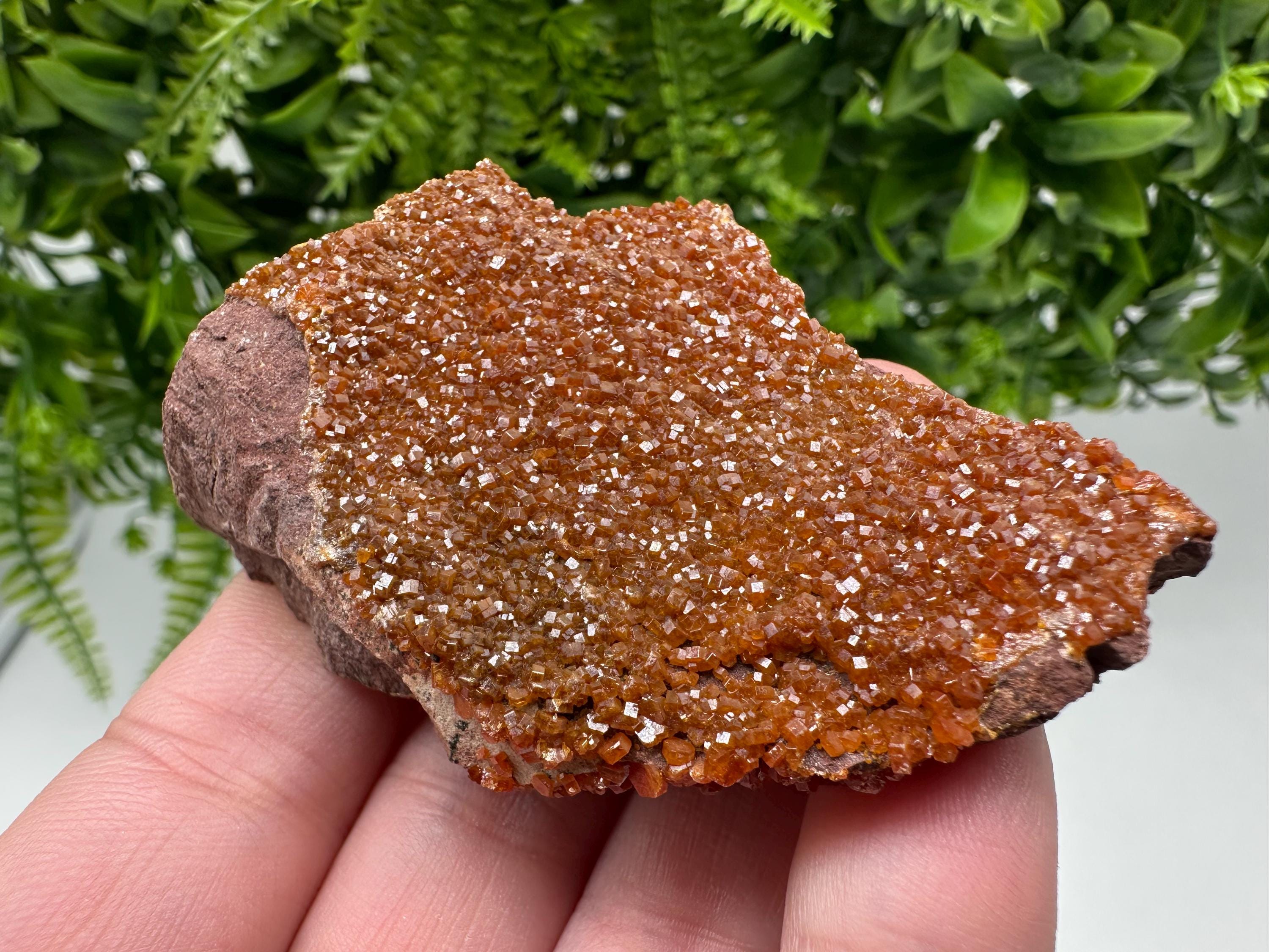 Red Vanadinite on Matrix from Marocco,crystal minerals Speciment cluster Vanadinite crystal Vanadinite Geology Vanadinite cluster minerals