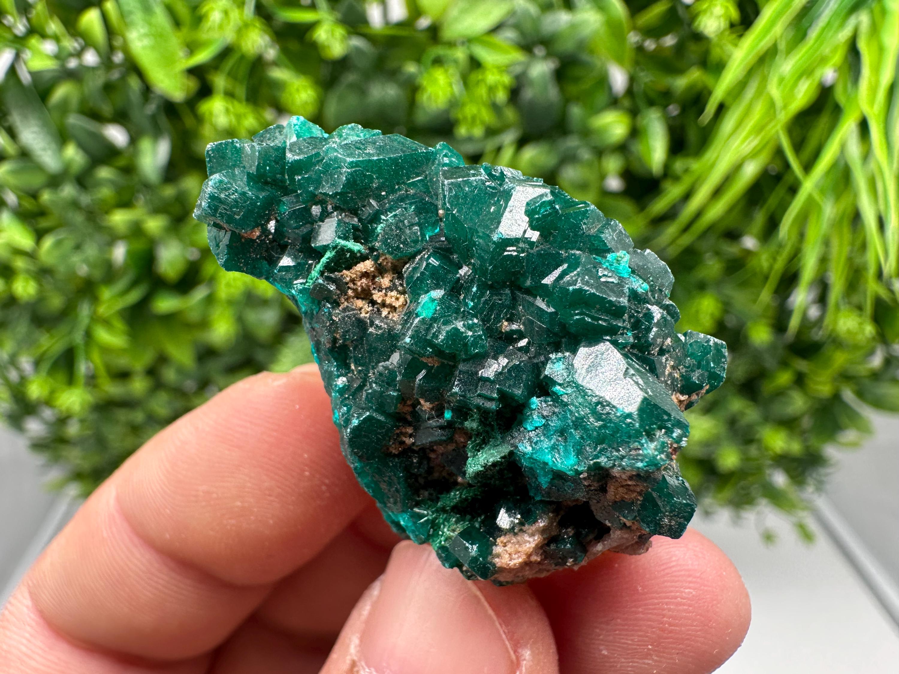 Stunning Green Dioptase from Sanda Hills,Mindouli,Pool Department,Mindouli District,Congo,green Dioptase,Dioptas Crystal,Dioptase collecting