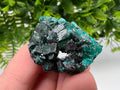 Stunning Green Dioptase from Sanda Hills,Mindouli,Pool Department,Mindouli District,Congo,green Dioptase,Dioptas Crystal,Dioptase collecting
