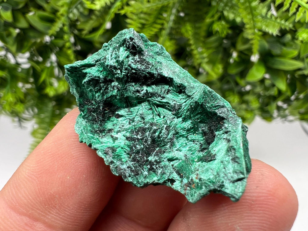 Malachite Crystal from Congo,Minerals,Crystals from Congo,Green Malachite, Malachite,Natural Malachite,Malachite Stone,Chakra, Specimens