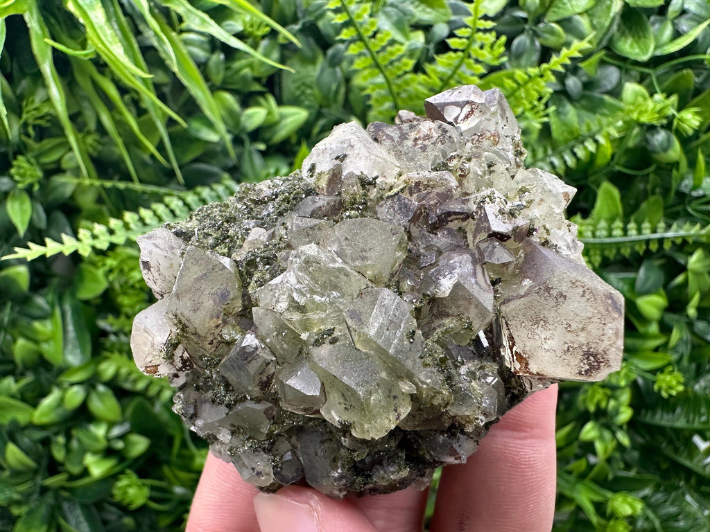 Rare Green Epidote with Quartz Crystals: Sparkly Rainbow Mineral Decor