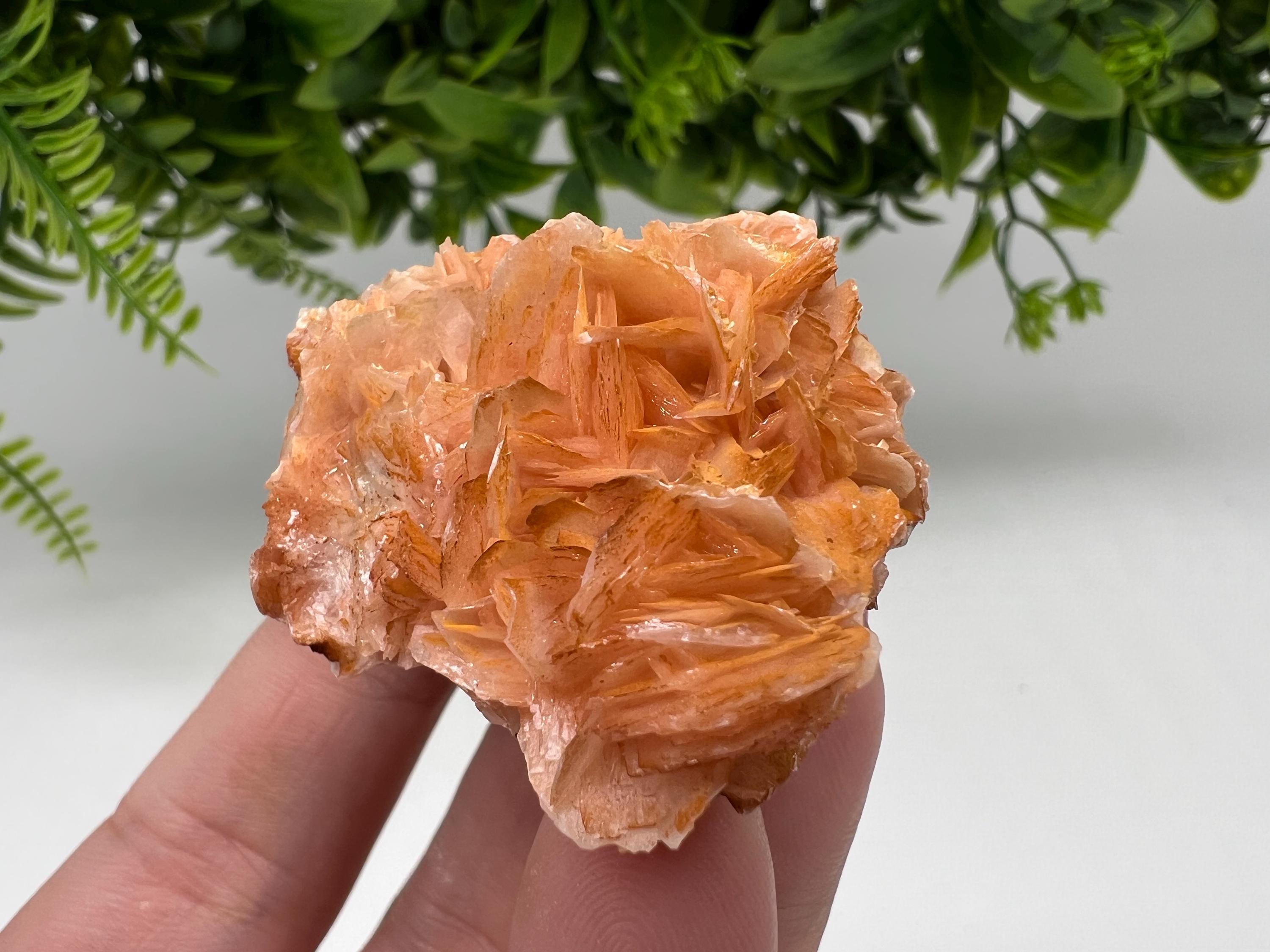 Wonderful Baryte with Cerussite on Galena from Morocco,Crystal, Mineral,Specimen,Cluster,Crystals,Barite Crystal,Cerussite Crystal,Specimen
