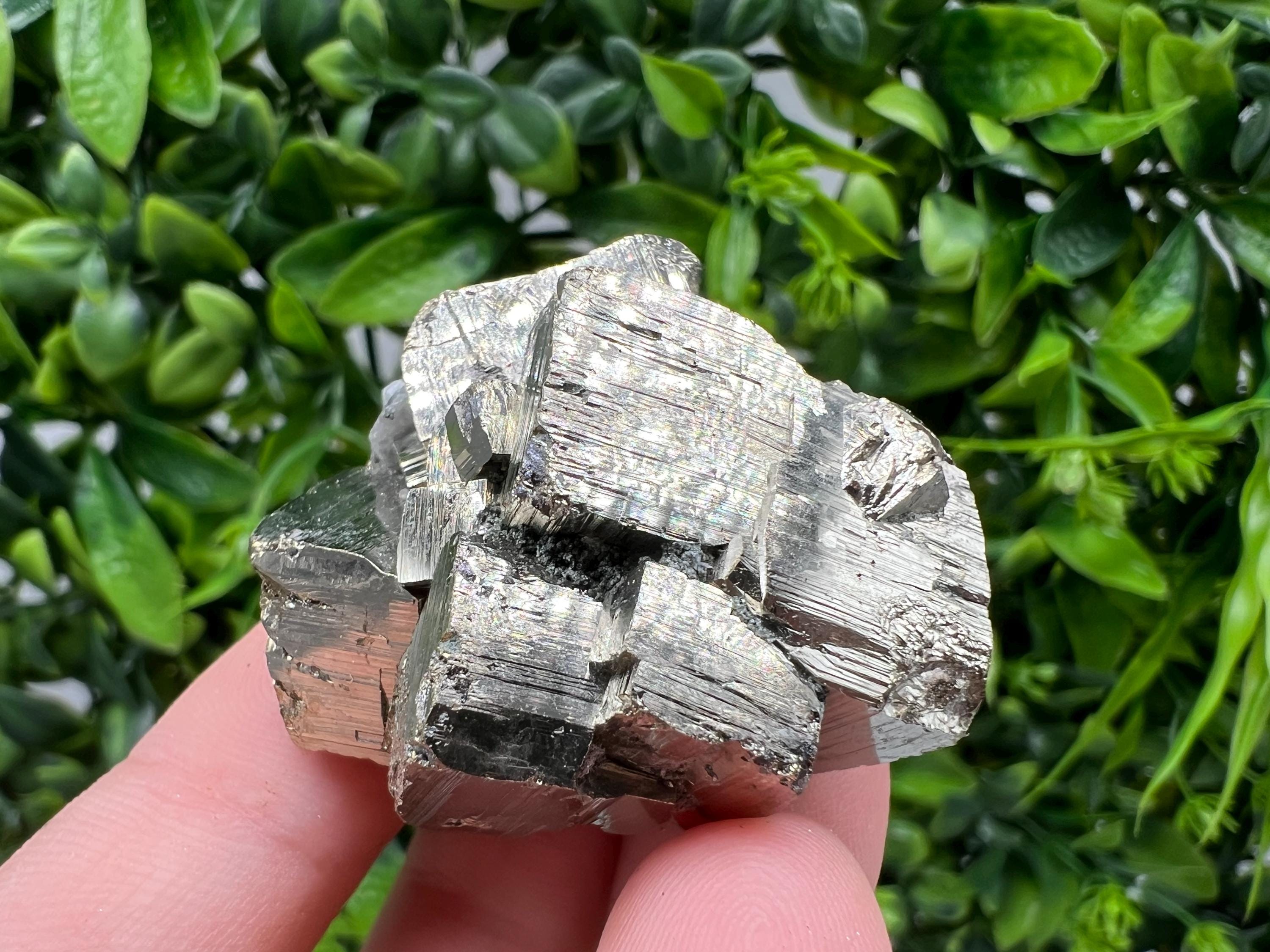 Rare Crystallized Pyrite Cluster, Borieva Mine, Bulgaria