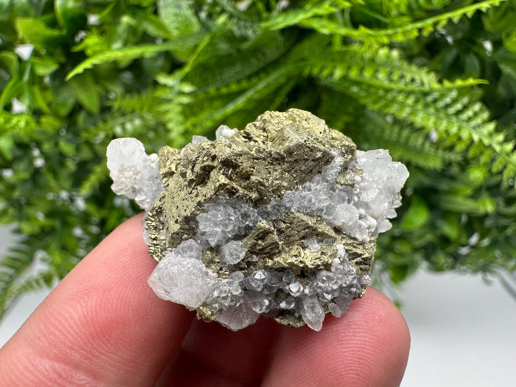 Chalcopyrite on Quartz Specimen, Krushev dol Mine, Bulgaria