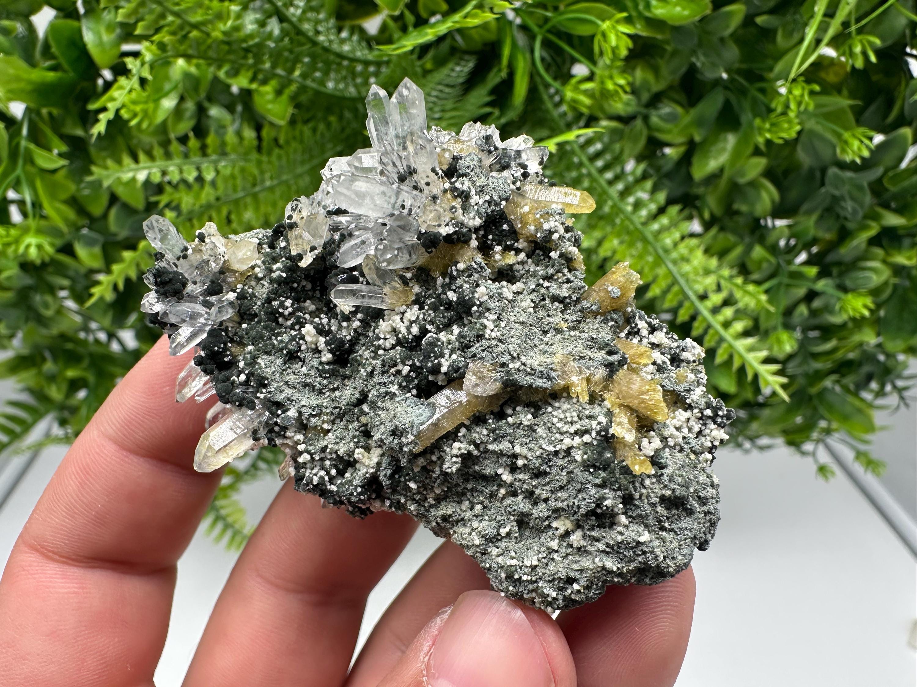 Chlorite Epidote Quartz Specimen: Borieva Mine, Bulgaria