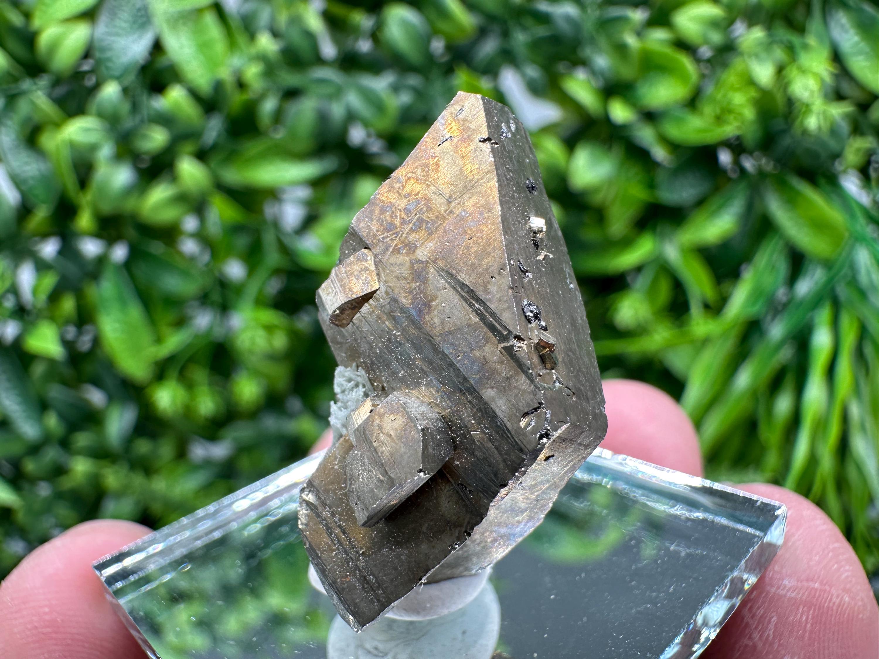 Mini Rainbow Pyrite Cluster: Borieva Mine, Bulgaria