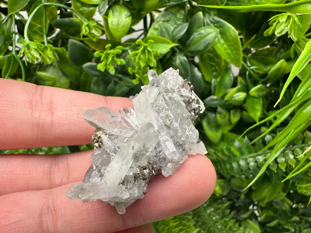 Pyrite on Green Quartz Mineral Specimen, Borieva Mine Bulgaria