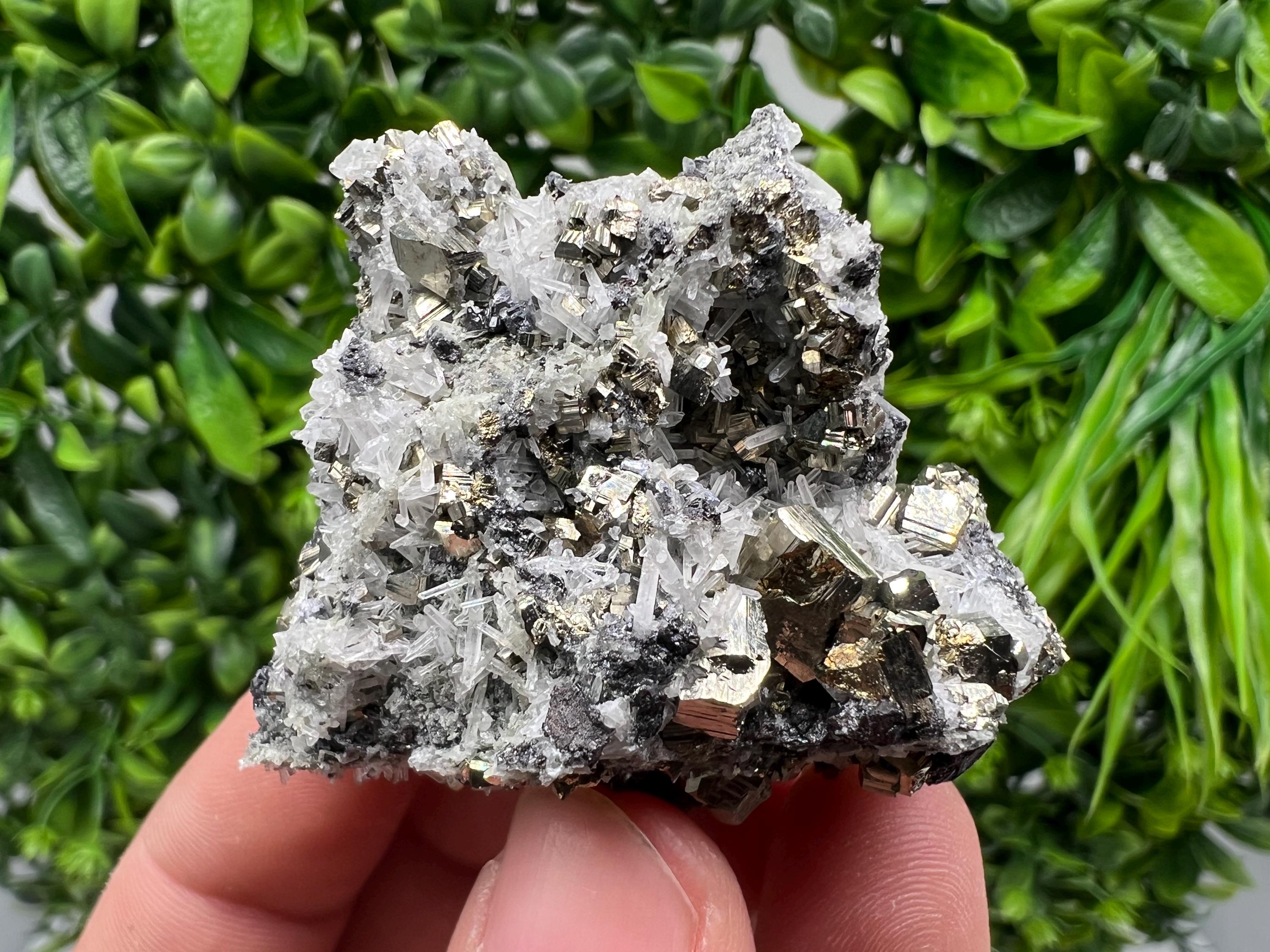 Pyrite on Green Quartz Mineral Specimen, Borieva Mine Bulgaria