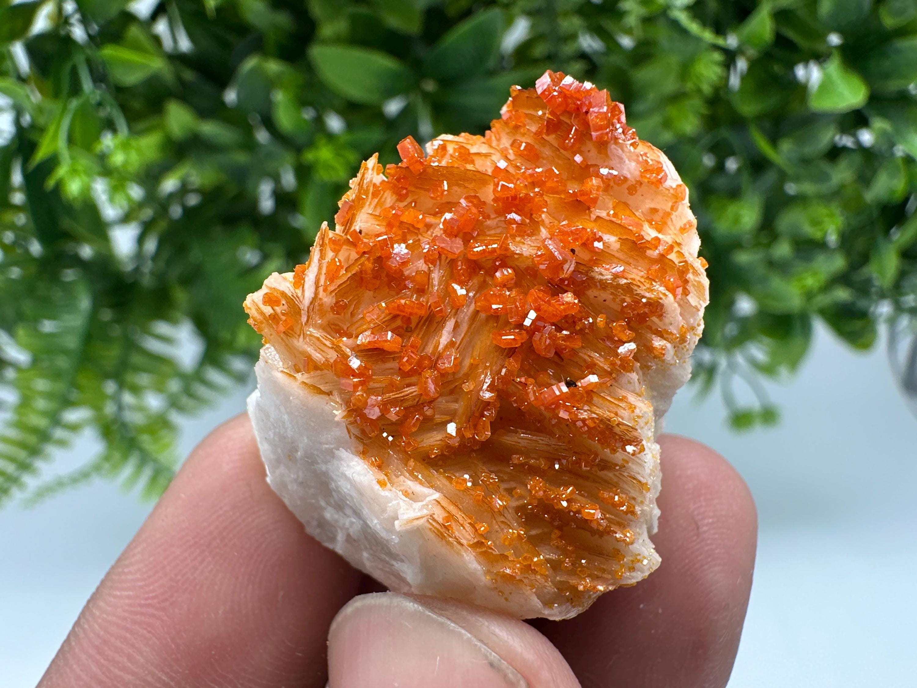 Red Vanadinite on Barite from Marocco,crystal minerals Speciment cluster Vanadinite crystal Vanadinite Geology Vanadinite cluster minerals