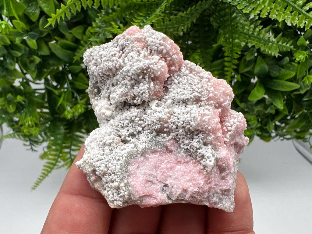 RARE Rhodochrosite with White Calcite, Starnica Mine, Bulgaria