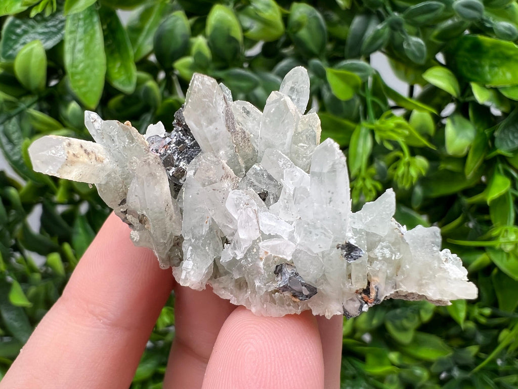 Transparent Quartz,Chlorite,Chalcopyrite Matrix,From Borieva mine,Madan,Bulgaria,Quartz,Quartz crystal,mineral specimen,collection quartz
