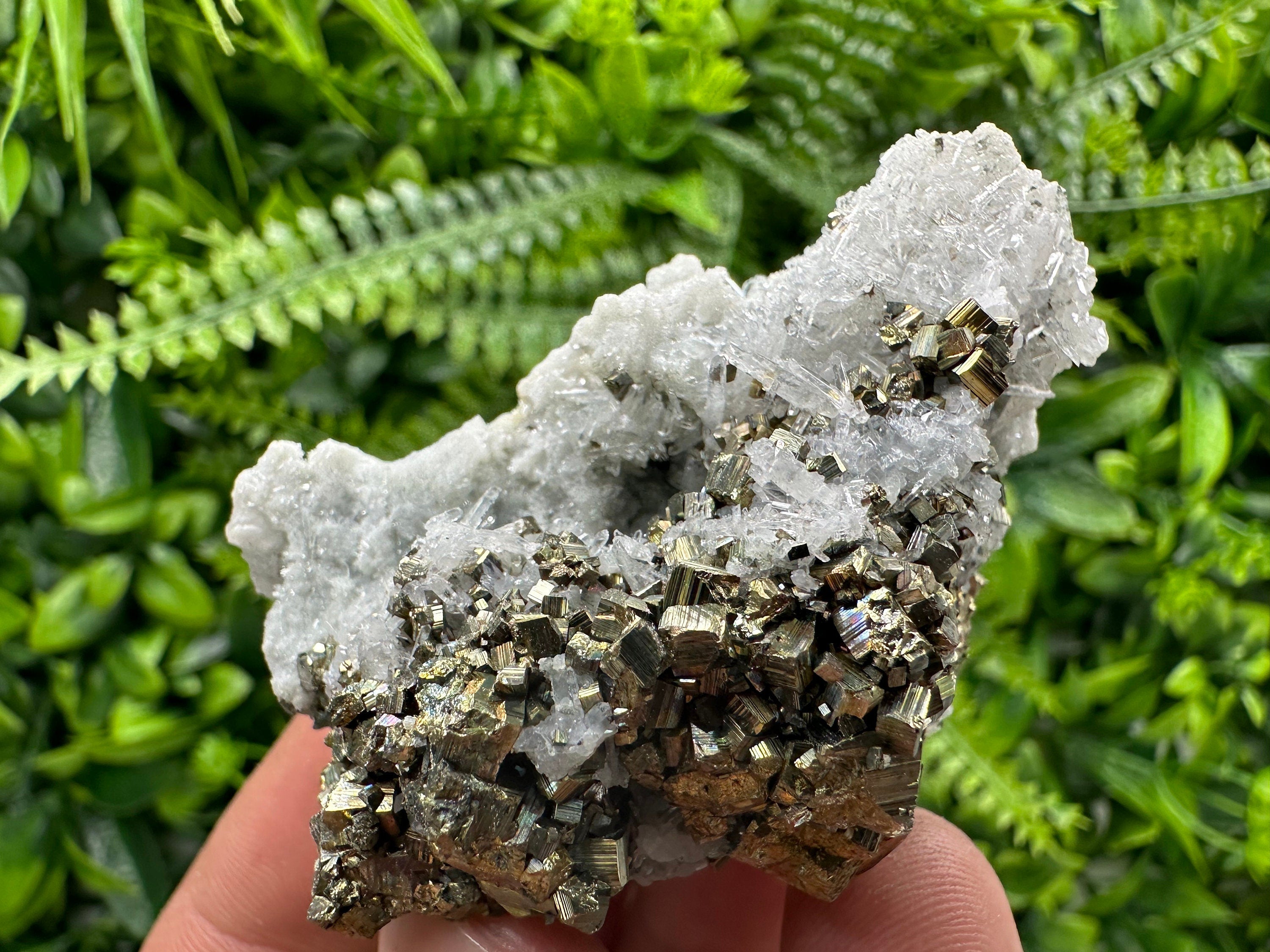 Pyrite on Quartz: Borieva Mine Crystal Home Decor