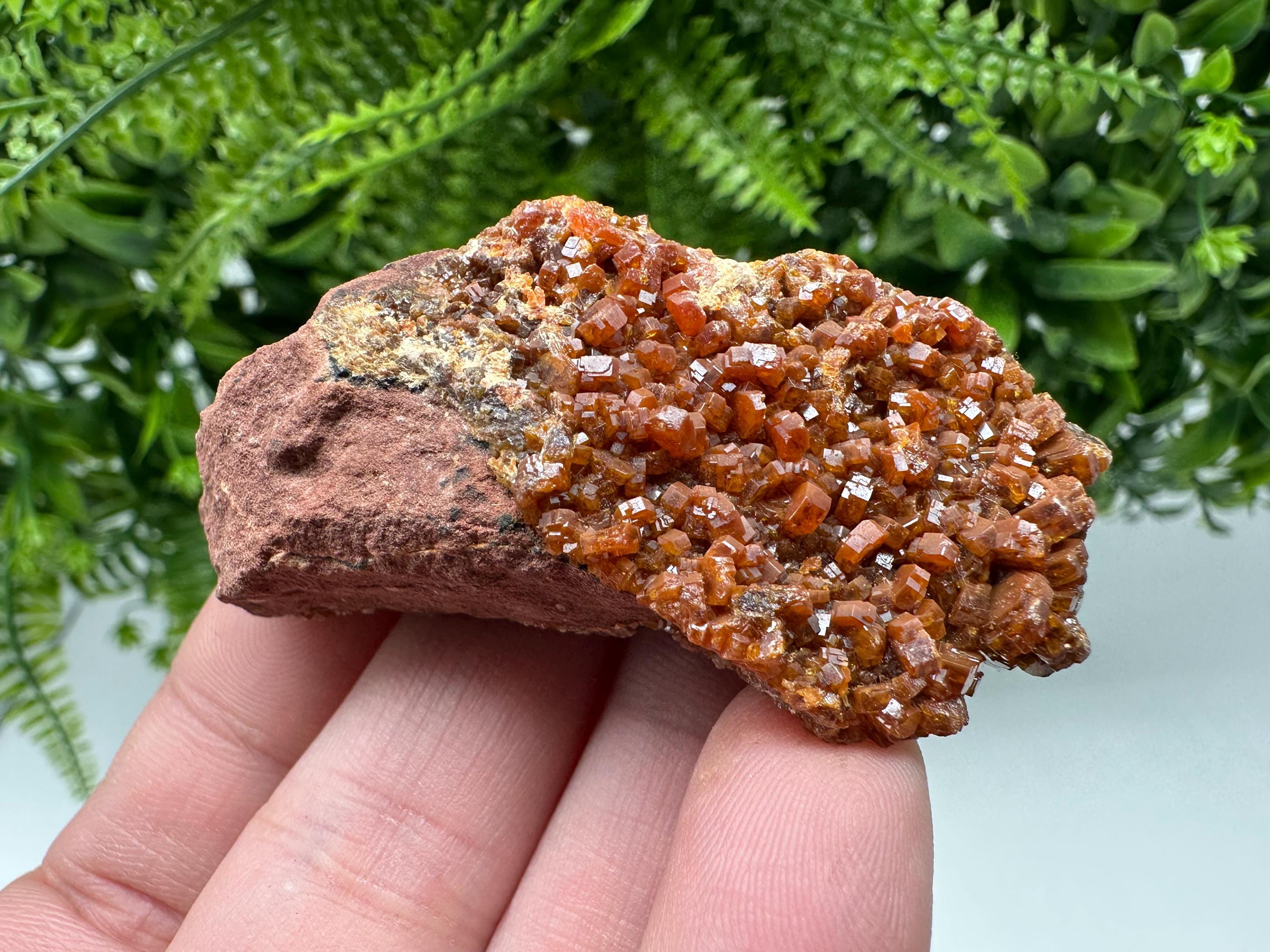 Red Vanadinite on Matrix from Marocco,crystal minerals Speciment cluster Vanadinite crystal Vanadinite Geology Vanadinite cluster minerals