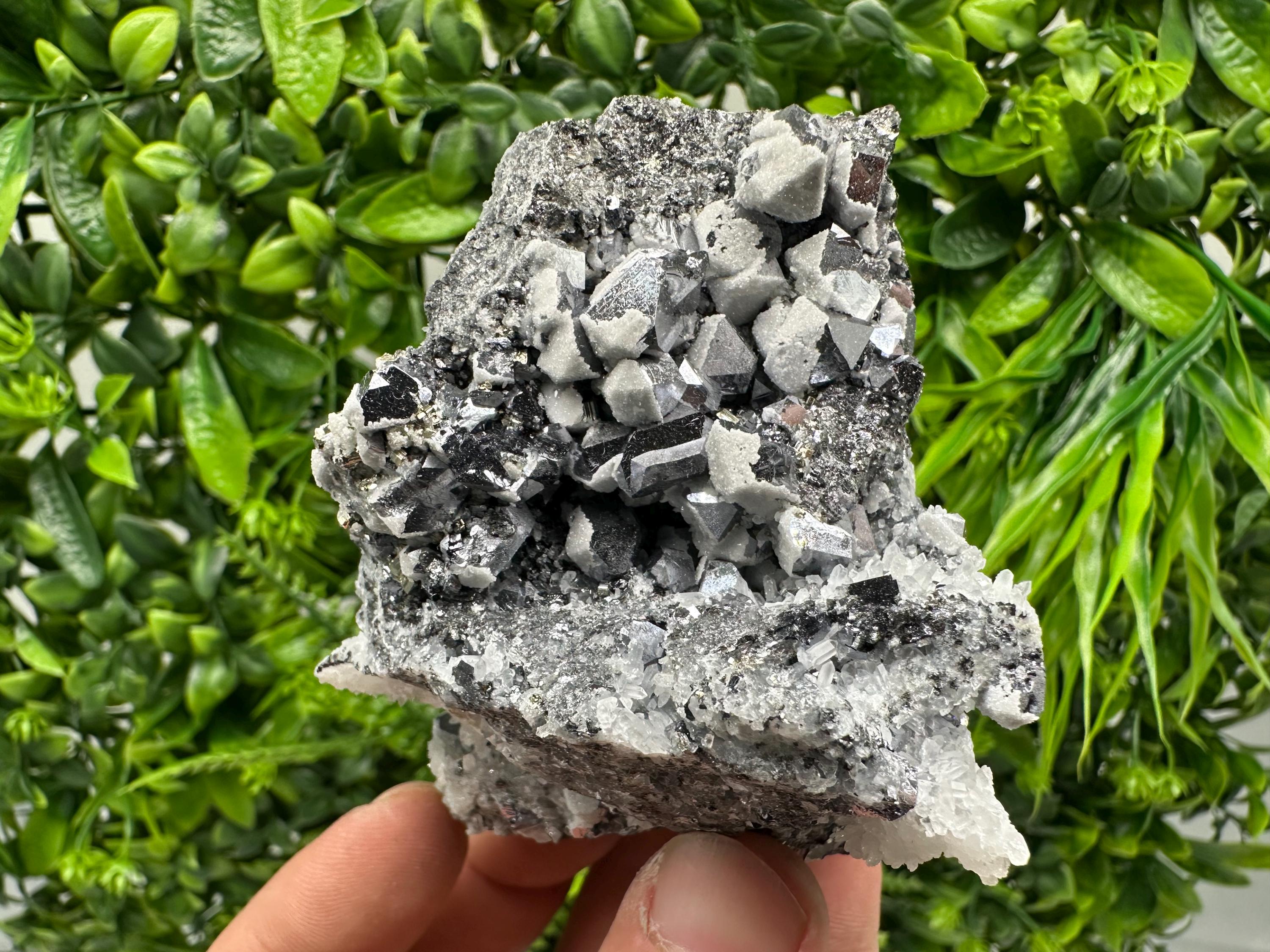 Skeletal Galena Mineral Specimen, Drujba Mine Bulgaria