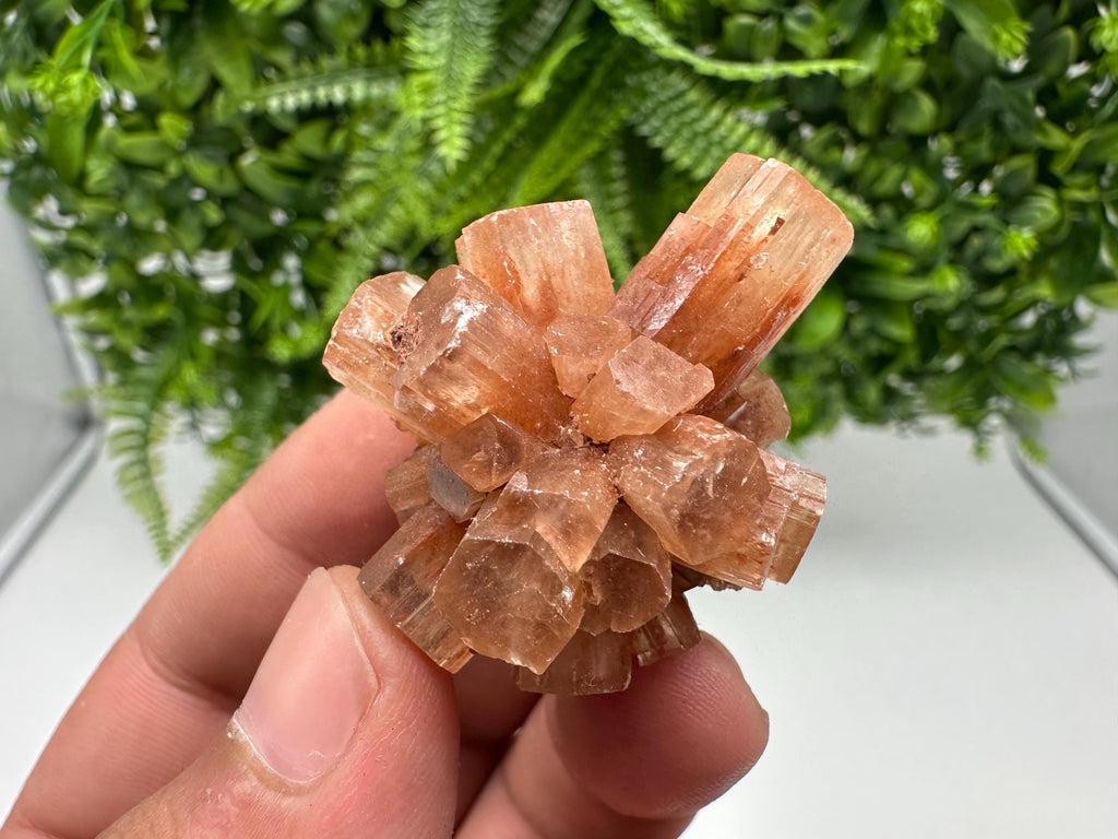 Aragonite Sputnik Cluster: Raw Moroccan Crystal Stone, Home Decor