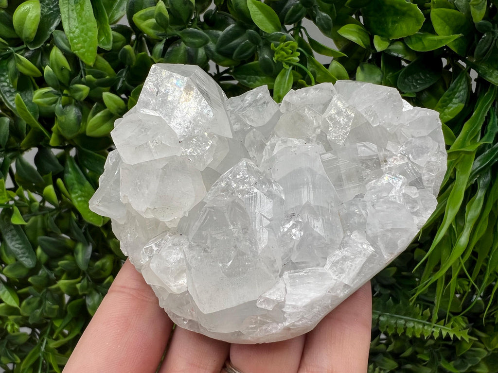Apophyllite on Chalcedony Specimen: Transparent Crystal, India Minerals