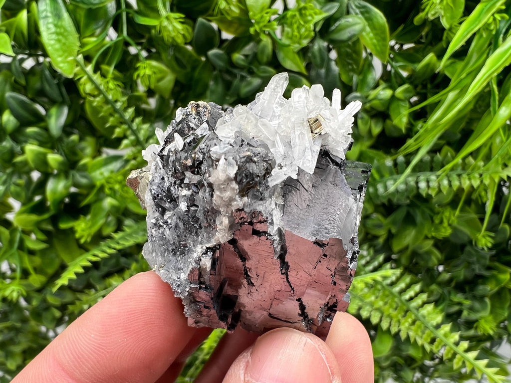 Pyrite Galena Sphalerite Quartz Specimen, Borieva Mine Bulgaria