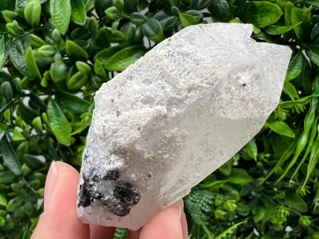 Transparent Quartz with Pyrite, Krushev dol Bulgaria, Collection Crystal