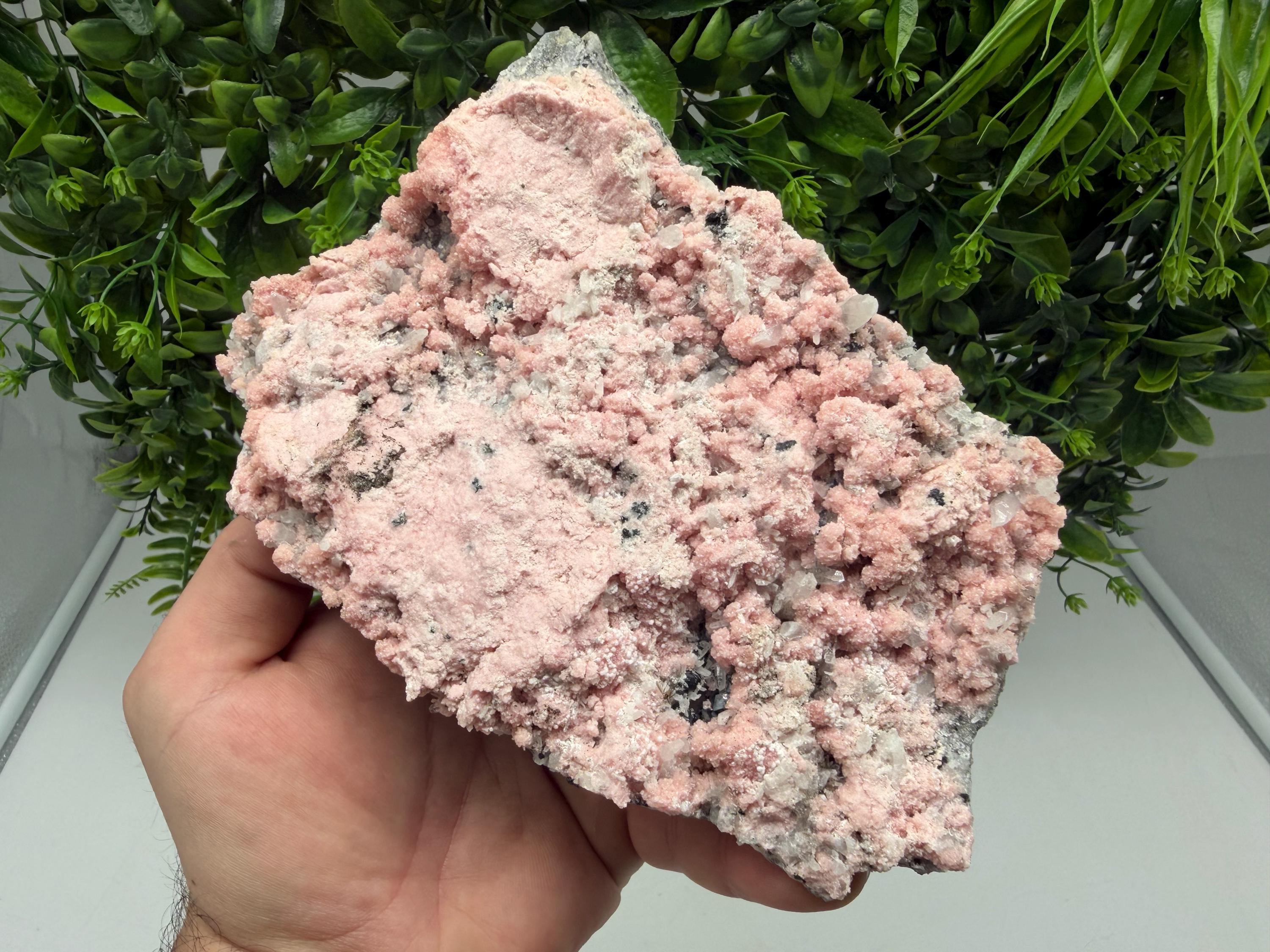 Pink Rhodochrosite Crystal, Starnica Mine, Bulgaria, Mineral Decor