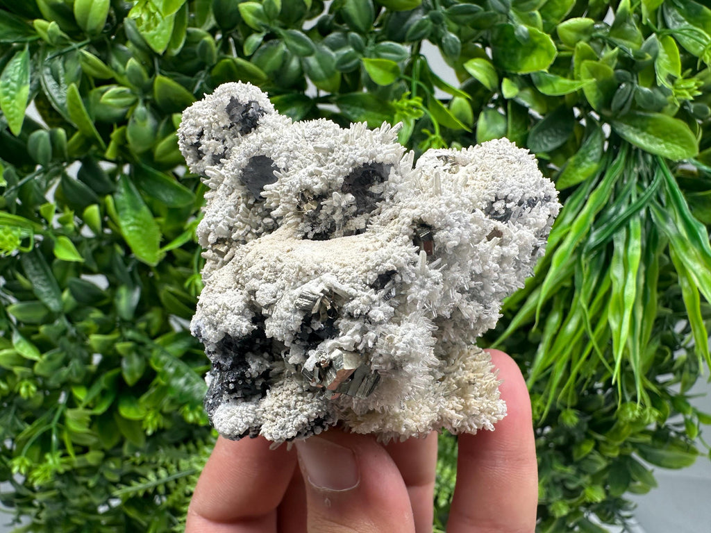 Galena Quartz Pyrite Specimen: Krushev Dol Mine Mineral Decor